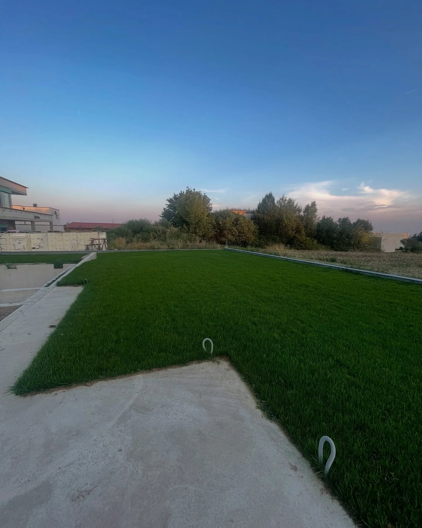 Gartenleitung verlegung Vorher - Nachher #asmr #video #grass #instagram #wasser