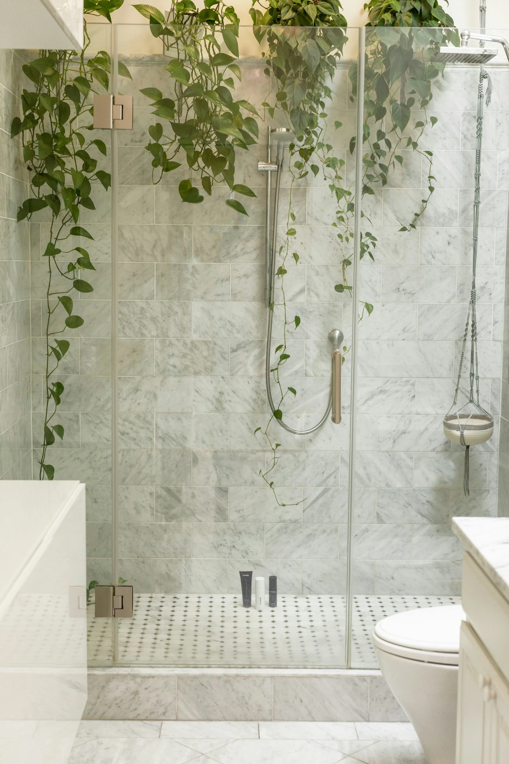 Ein Badezimmer mit einer begehbaren Dusche, die mit Glaswänden eingezäunt ist. Es gibt grüne Topfpflanzen an der Wand und im oberen Bereich der Dusche. Auf dem Duschboden stehen drei Shampoo- oder Duschgel-Flaschen. Es ist eine weiße Toilette und ein Waschbecken sichtbar.