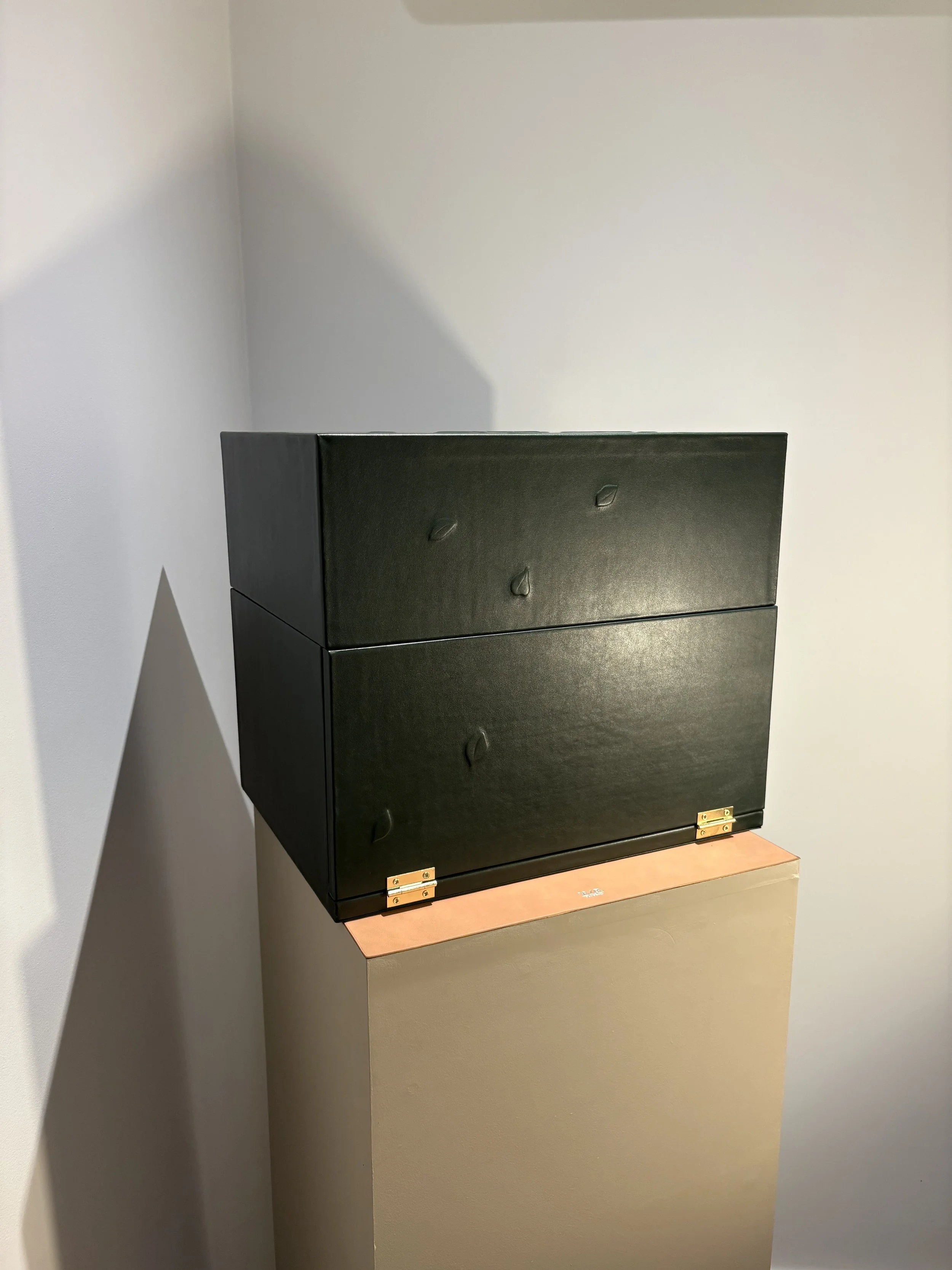 Coffret 6 bouteilles de champagne pour Marguerite Guyot