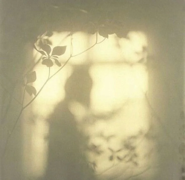 A shadow of a person taking a photo is cast on a wall, with a plant's silhouette also visible in the shadow.