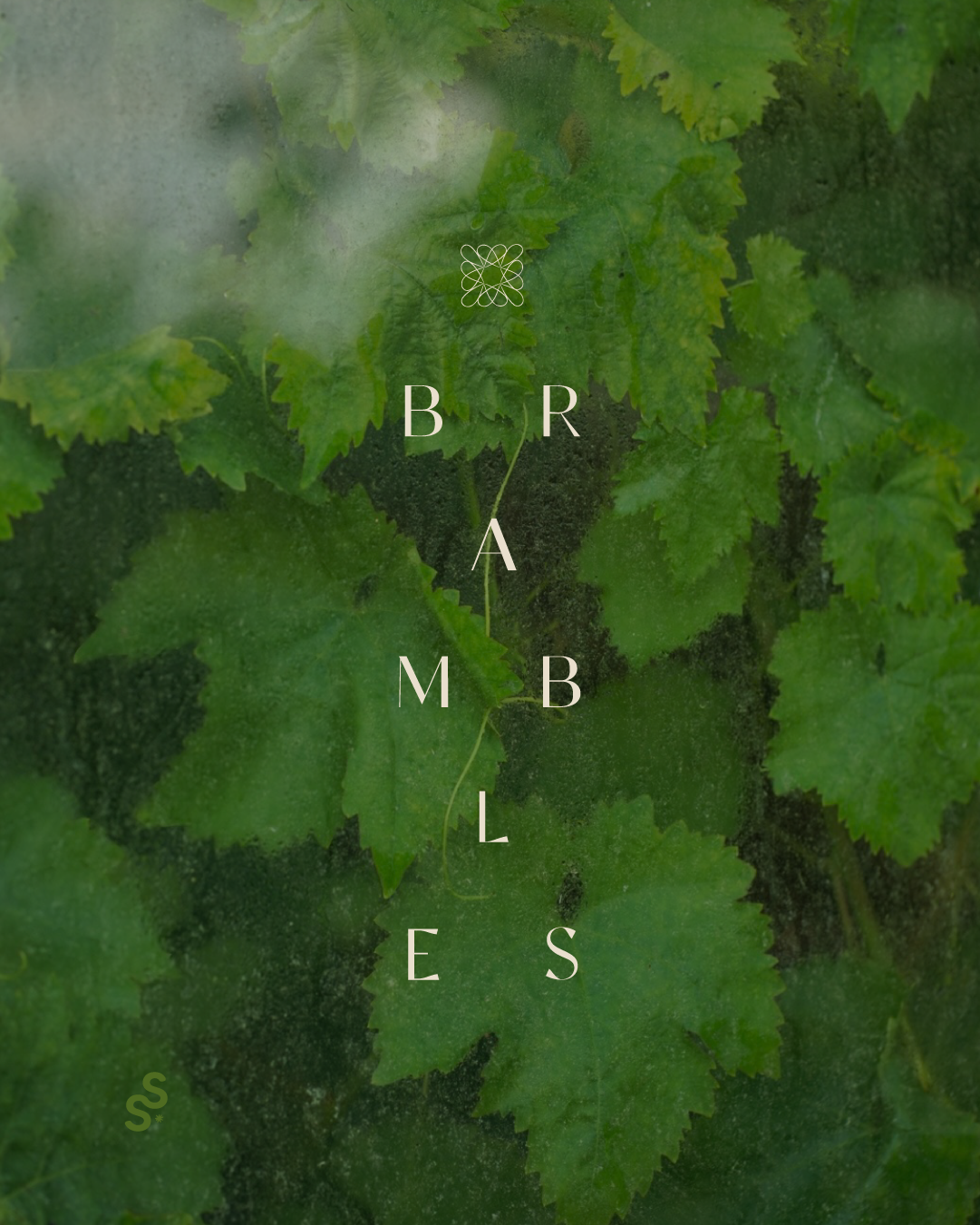 Close-up shot of green grapevine leaves with words 'BRAMBLE'S' vertically aligned in the center.