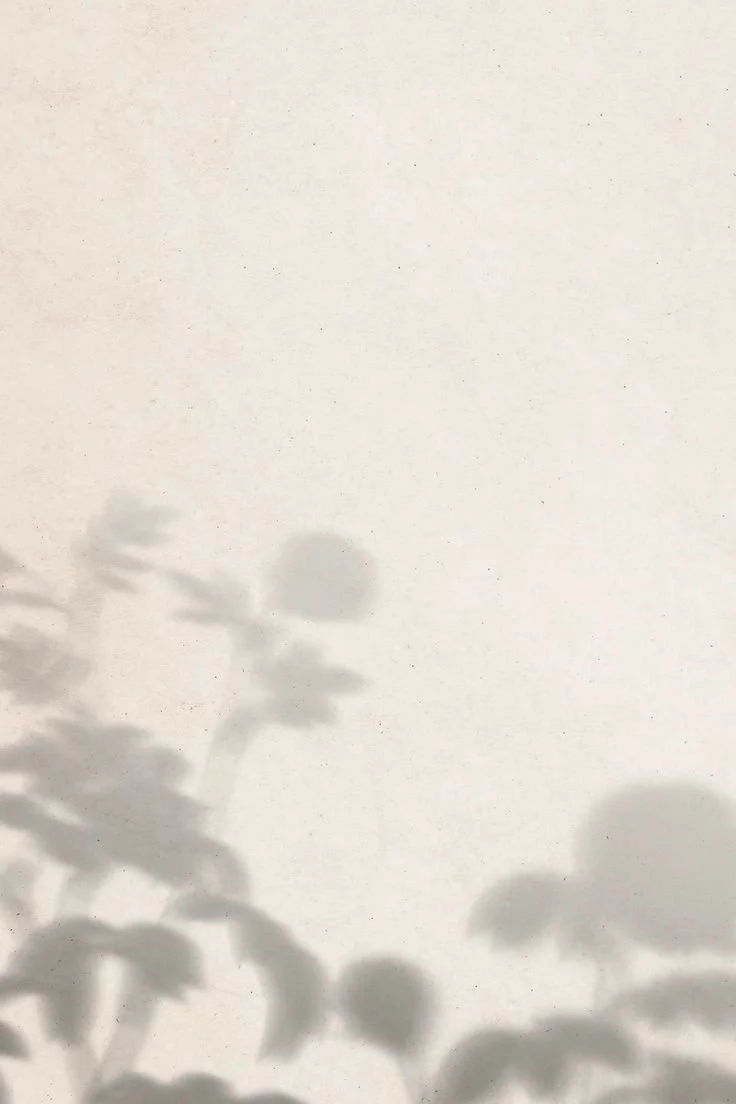 A shadow of a plant with leaves and a flower cast on a white wall.