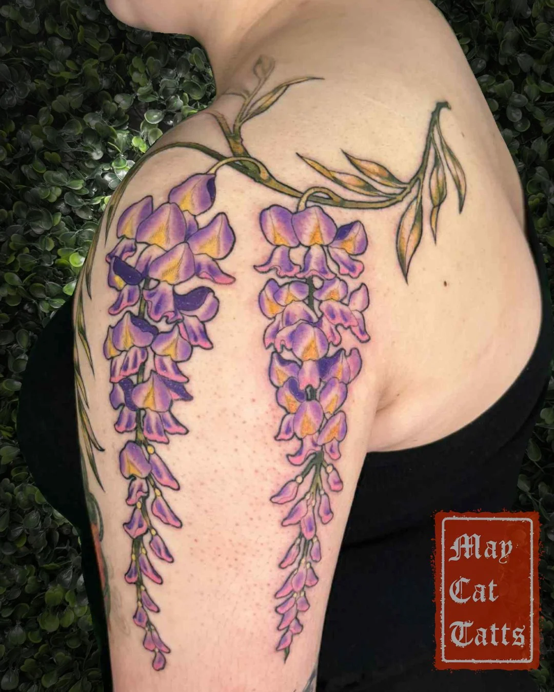 Wisteria coloured: half day 4 hrs