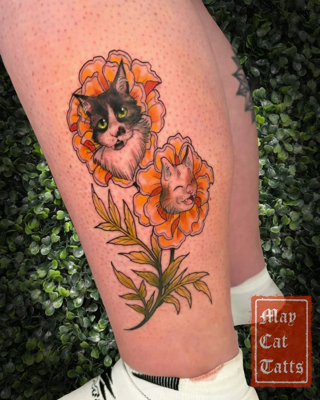 Some personalised Meowy-golds for Amethyst💛
>>>Swipe to see process pics>>
A pre-drawn design customised with my client's tuxedo cat Sherlock!
I would love to tattoo more cat faced flowers in future!
Thankyou for the trust with such a