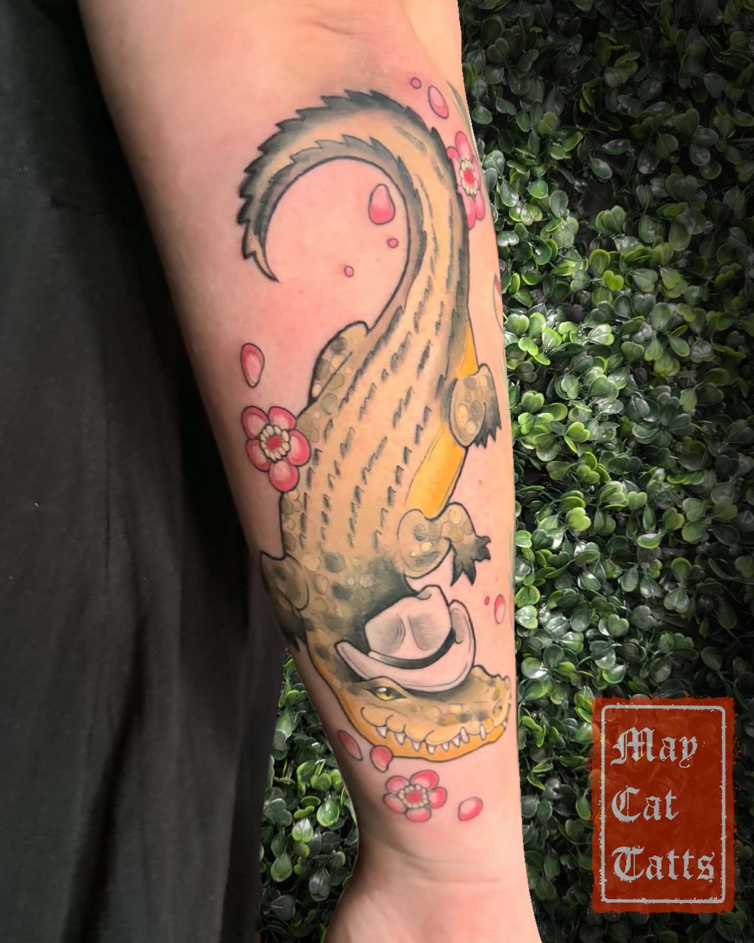 🌸Such a cheeky pair of outback crocs for this awesome couple!🐊
If you know, you know! 😆

🔗May/June books are open! Custom ideas, pre-drawn designs or repeatable flash!
.
.
.
#neonpineappletattoo #maycattatts #neotraditional #crocodiletattoo