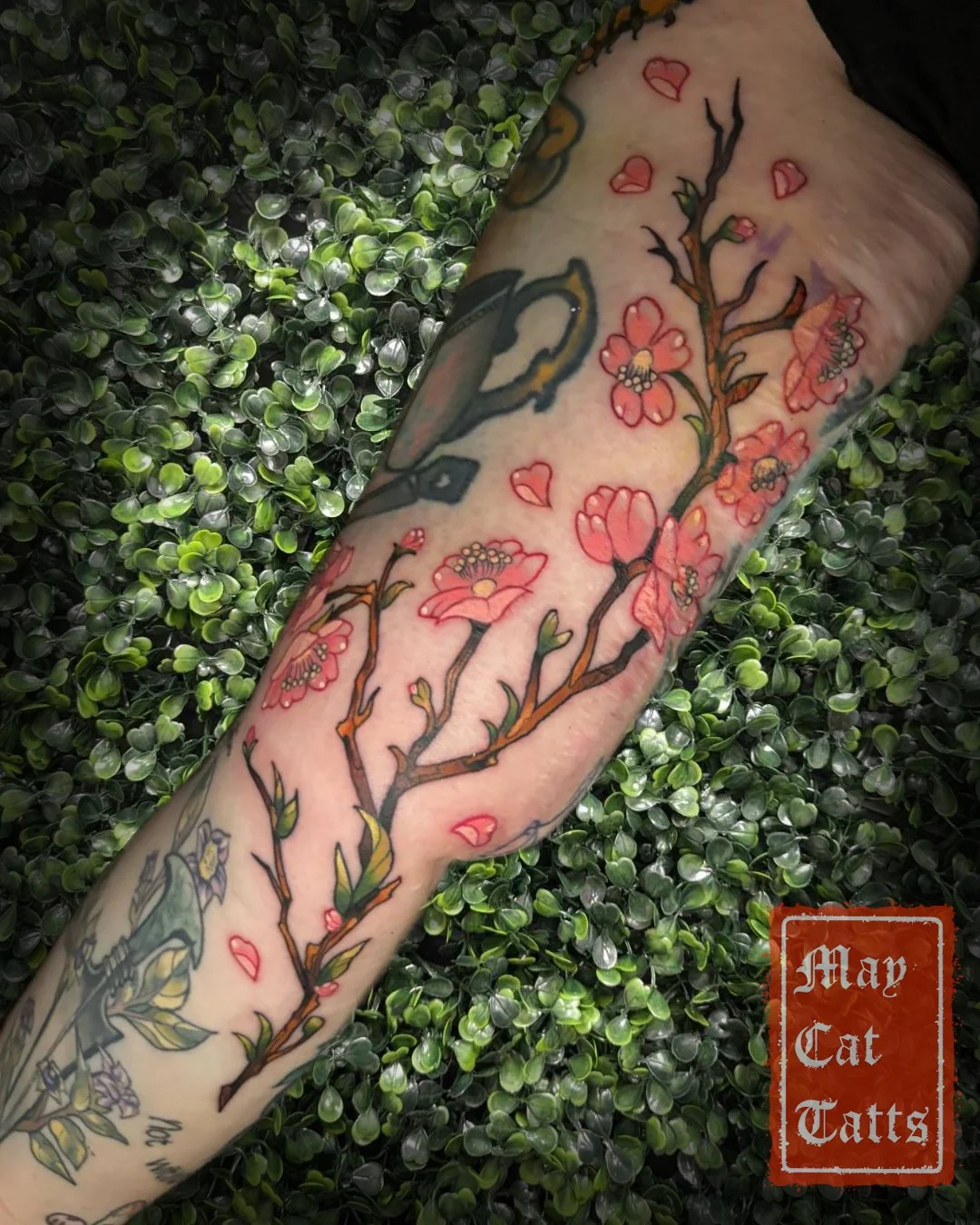 Sakura: Half day 4 hrs approx