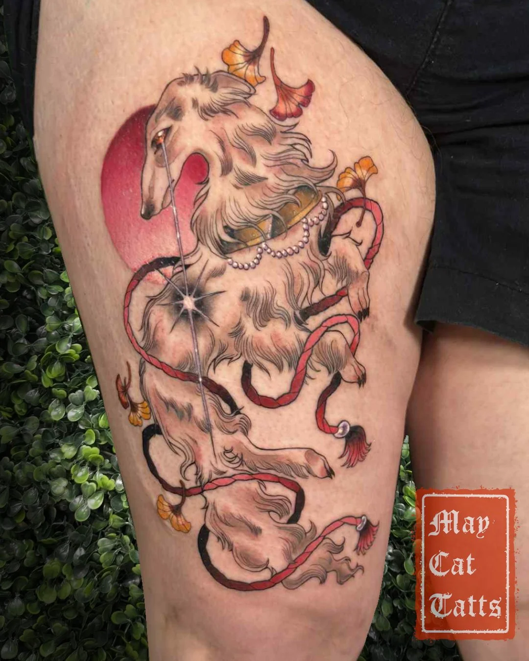 Elegant Boizoi: Full day of 7 hrs