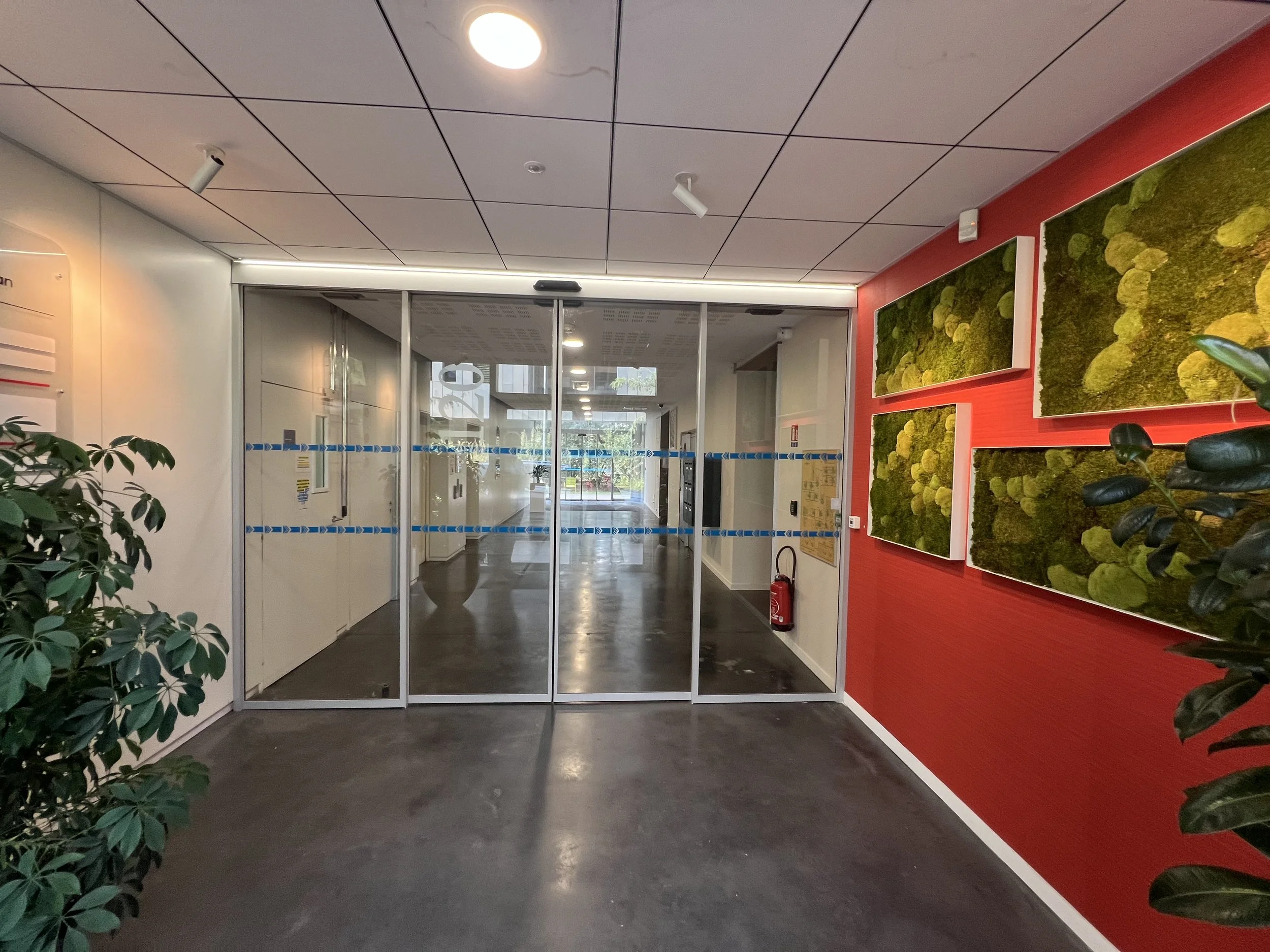 Entrée intérieure d'un bâtiment avec une porte en verre, murs blancs et rouges, décorations vertes et jaunes, plantes en pot, et un couloir visible à travers la porte.