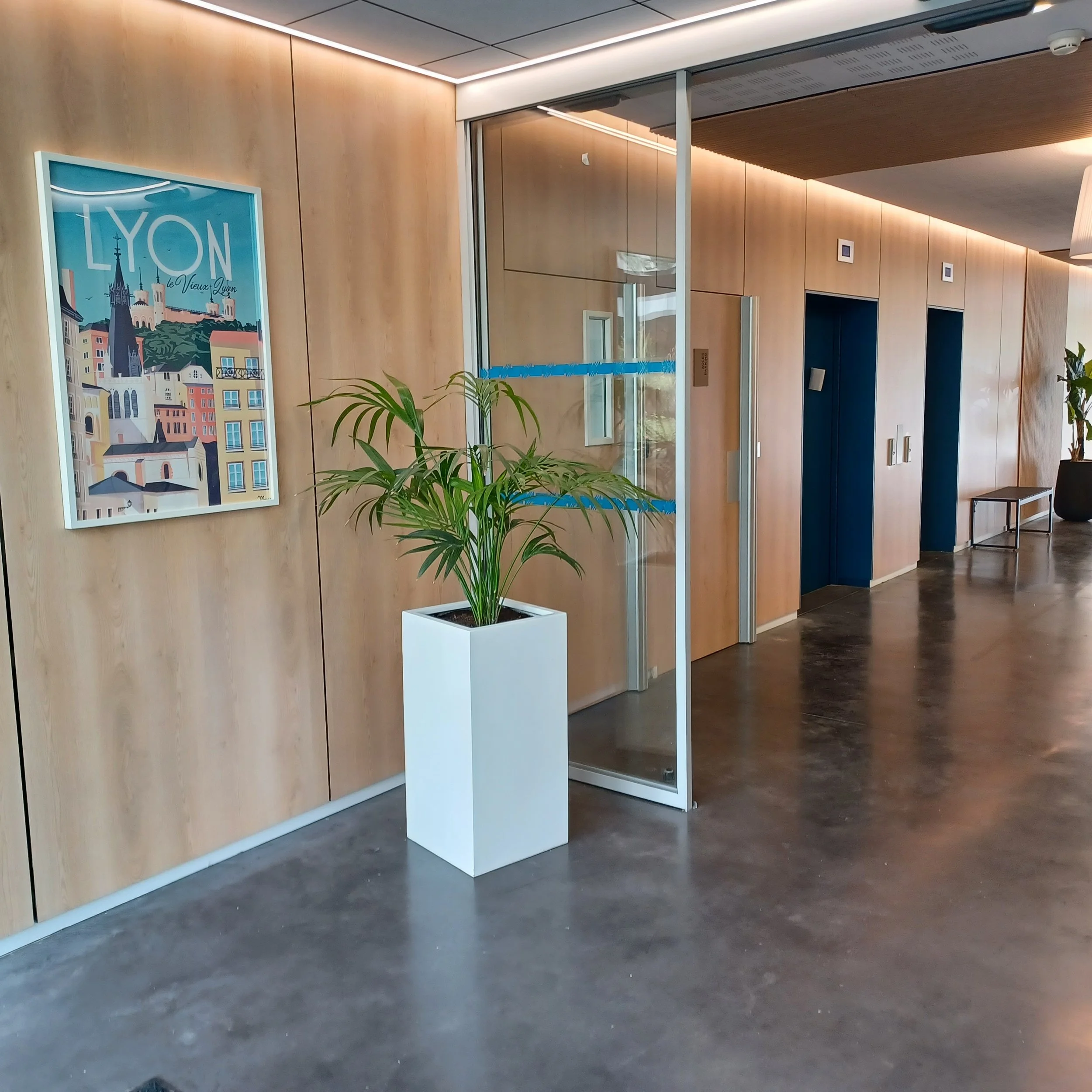 Intérieurs modernes avec parquets en bois, un mur en bois clair, et un mur vitré avec un ascenseur derrière. Il y a une plante verte dans un pot blanc, une affiche colorée sur le mur avec le texte "LYON", et un banc avec une grande plante en pot au f