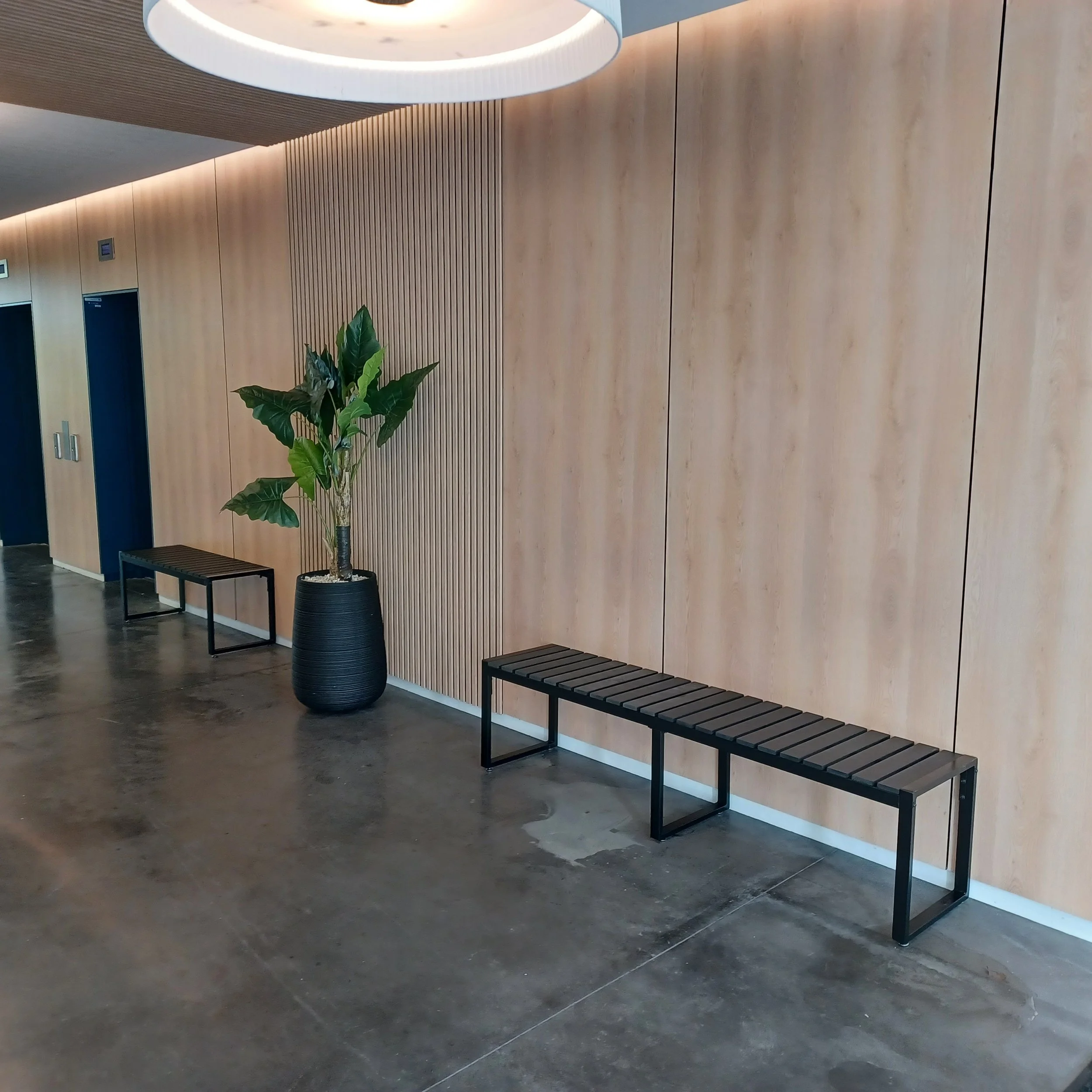 Hall moderne avec deux bancs en bois et un grand pot avec une plante verte, mur en bois clair, sol en béton poli, éclairage suspendu.