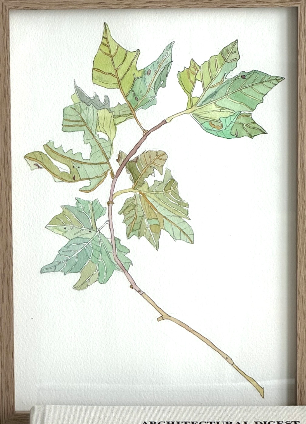 Screenshot 2026-02-25 at 12.06.26 pm.png