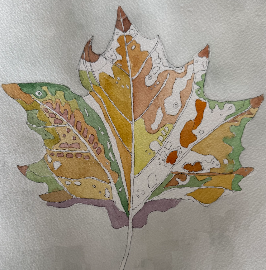 Screenshot 2026-02-24 at 8.22.29 pm.png