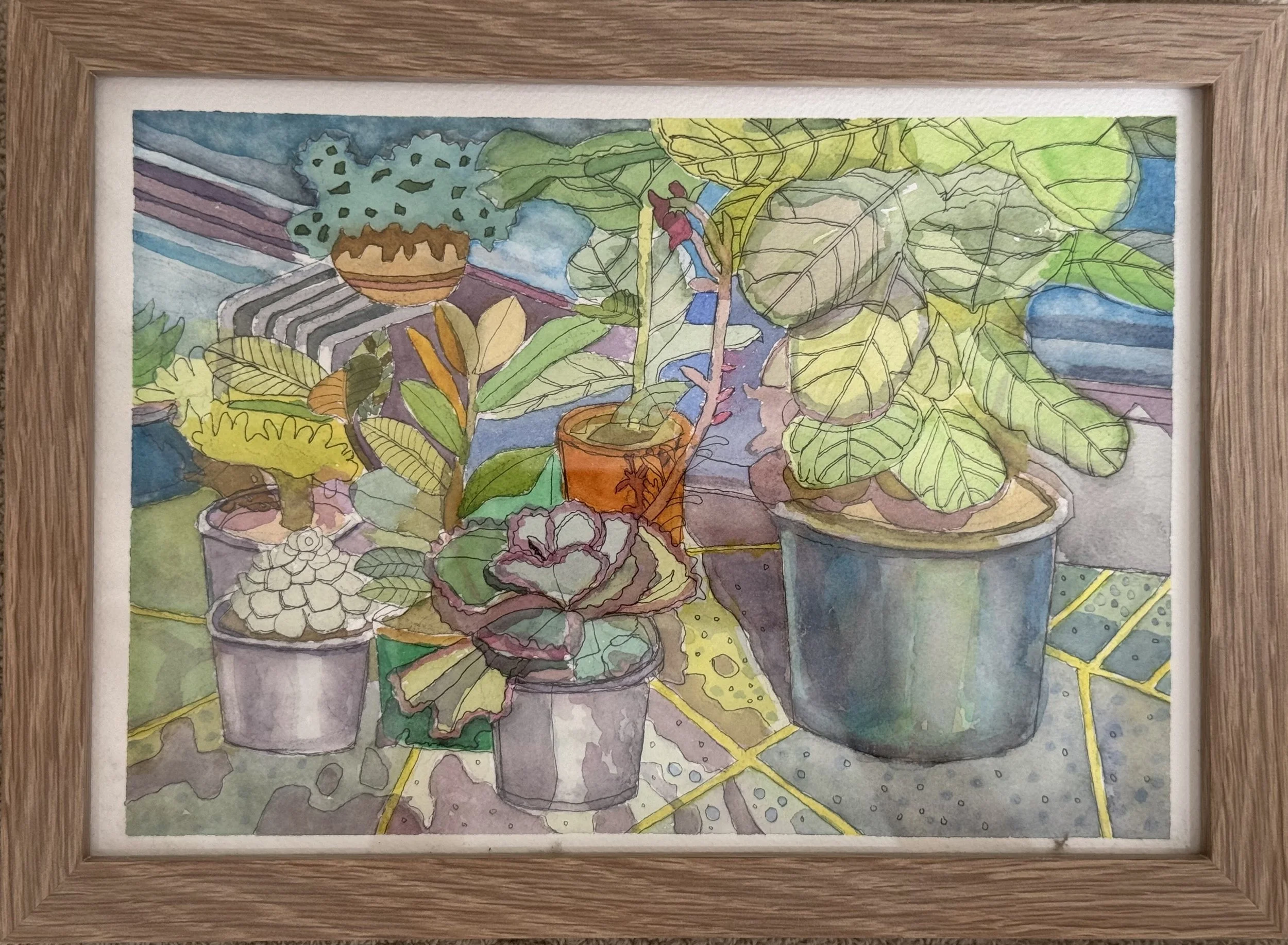 Pot Plants and Leaves