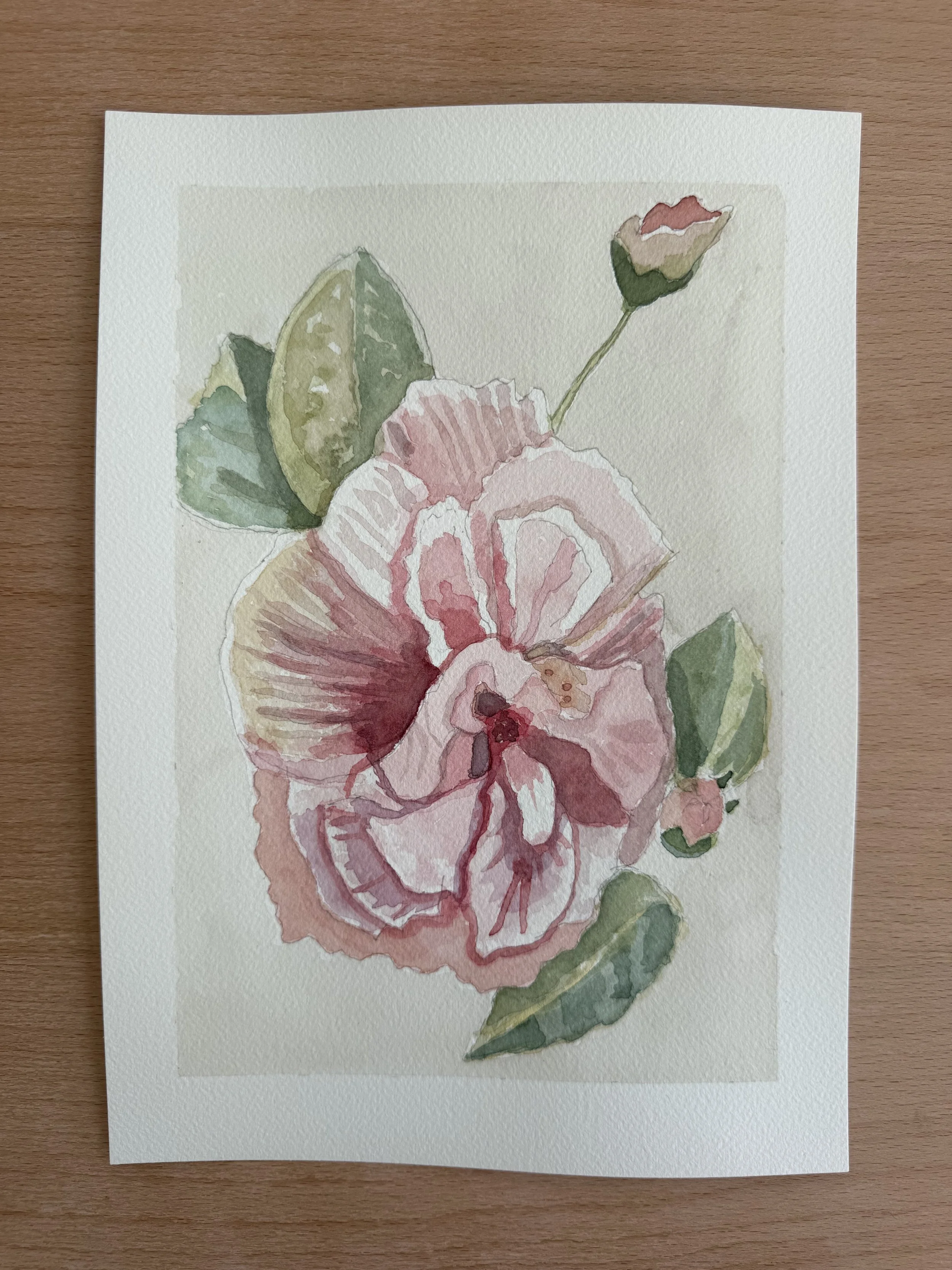 Pink Flower Study I