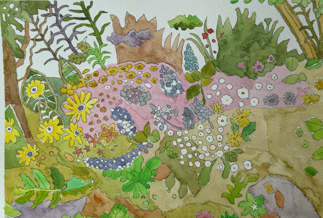 Screenshot 2026-02-25 at 12.43.02 pm.png