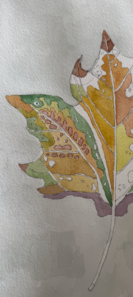 Screenshot 2026-02-24 at 8.22.36 pm.png