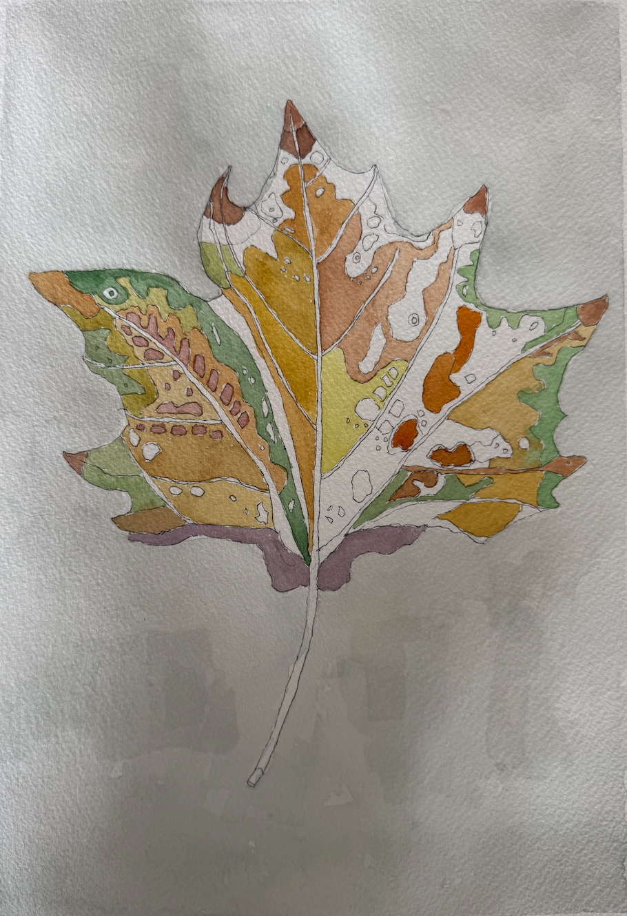 Screenshot 2026-02-24 at 8.22.23 pm.png