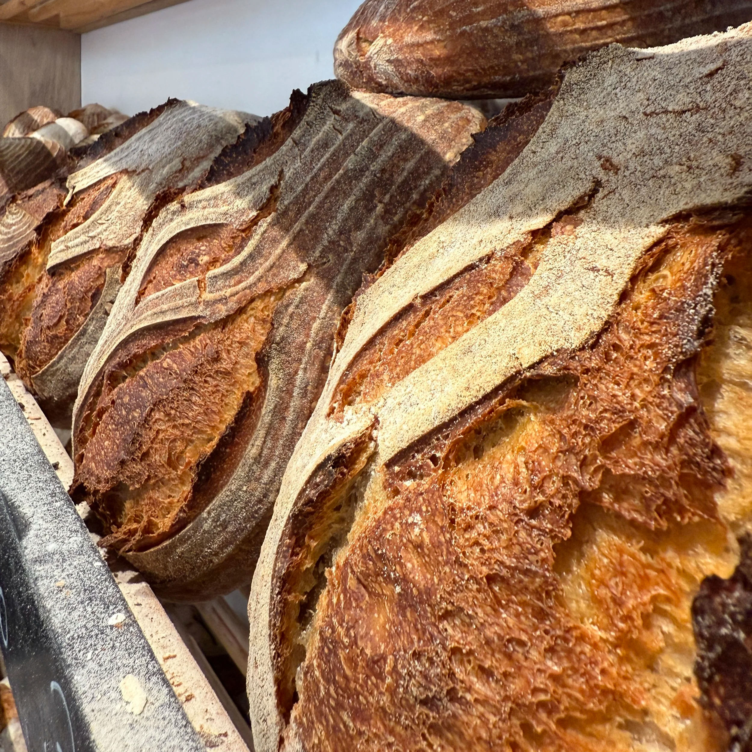 Panes de masa fermentada con corteza dorada y acanalada, en una banca de panadería.