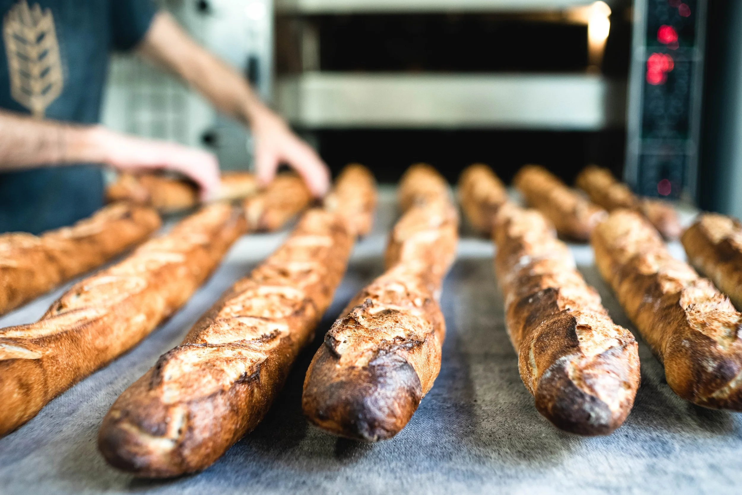 Varias baguettes de pan recién horneadas sobre una bandeja con una persona sacándolas del horno.