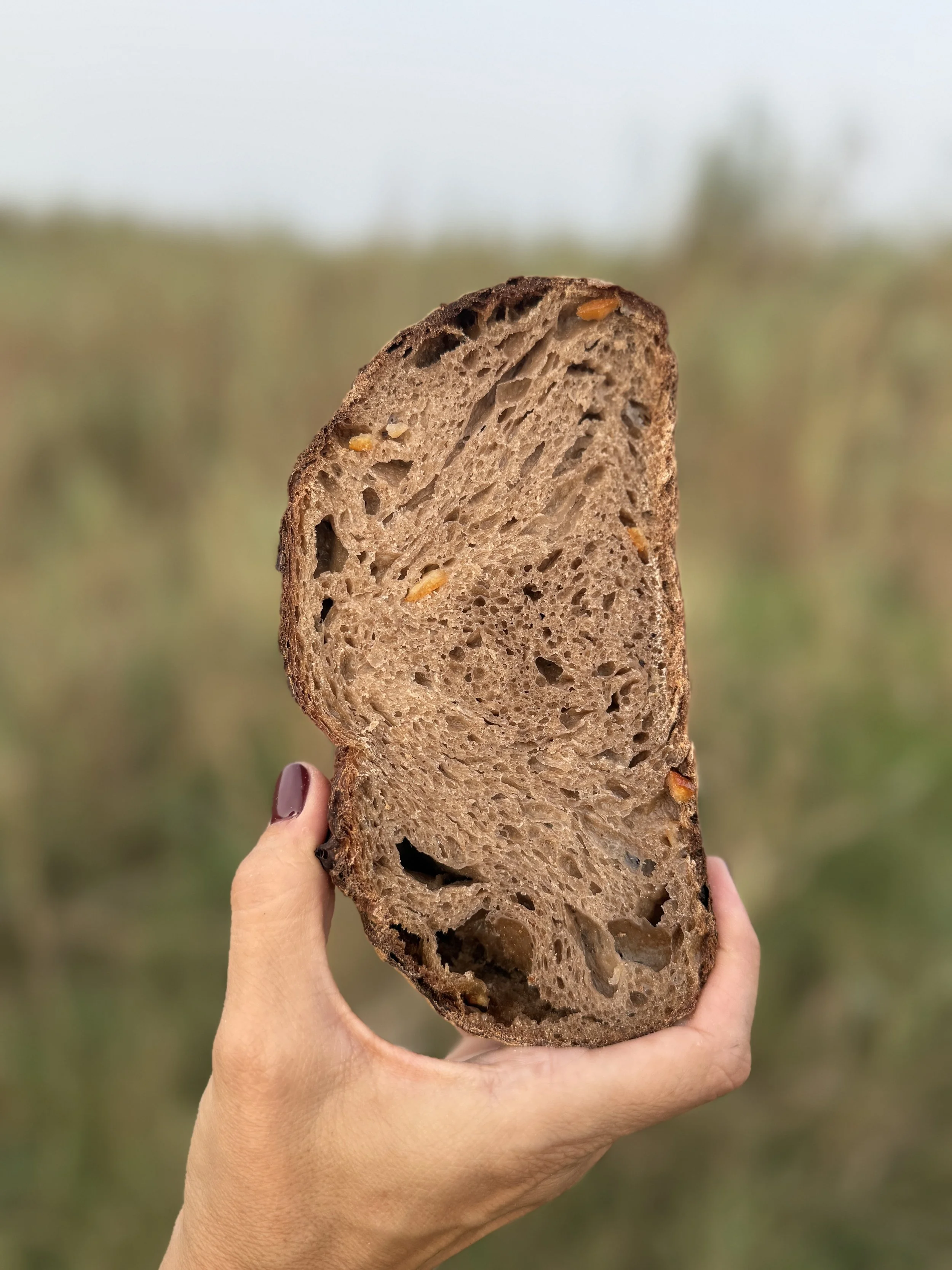 Rebanada de pan de algarroba y cítrícos, sostenida con una mano, fondo de campo borroso.