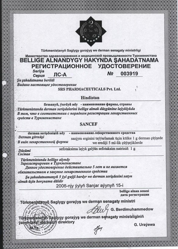 197_Sancef Registration Sertificate copy.jpg