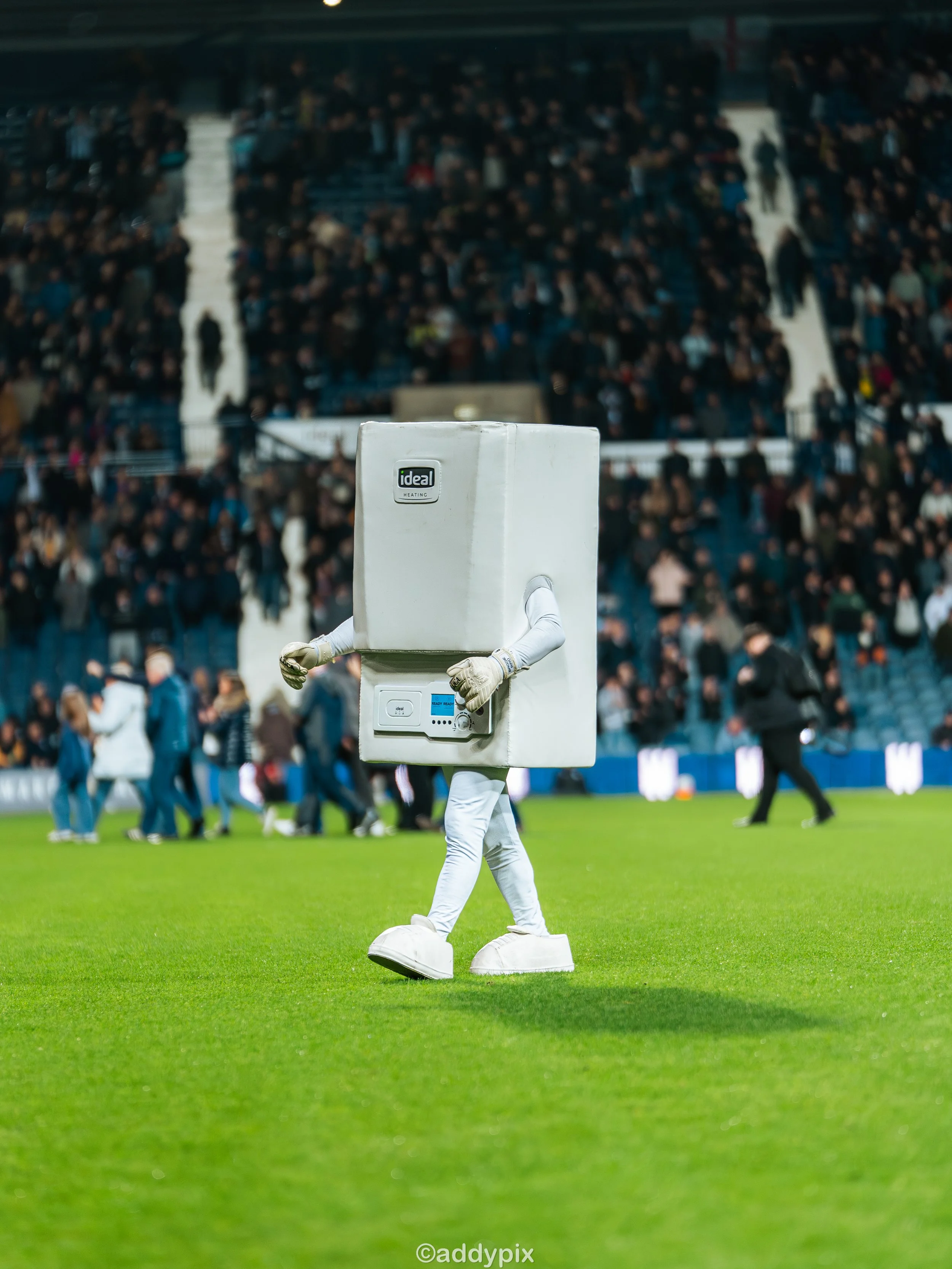 WBA V SOUTHAMPTON-31.jpg