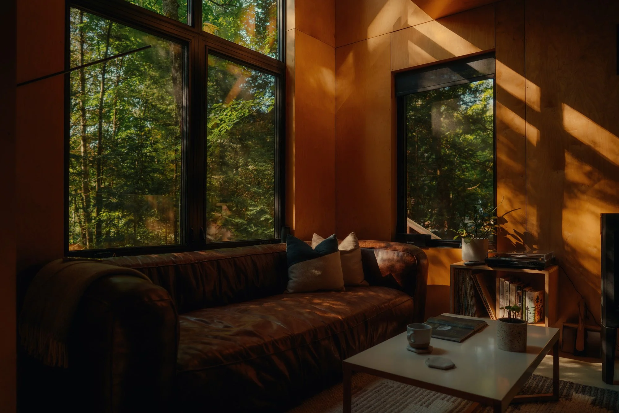 Living room with large windows showing a forest outside, wooden walls, a leather sofa with cushions, a coffee table with a mug, and a bookshelf with books and a potted plant.