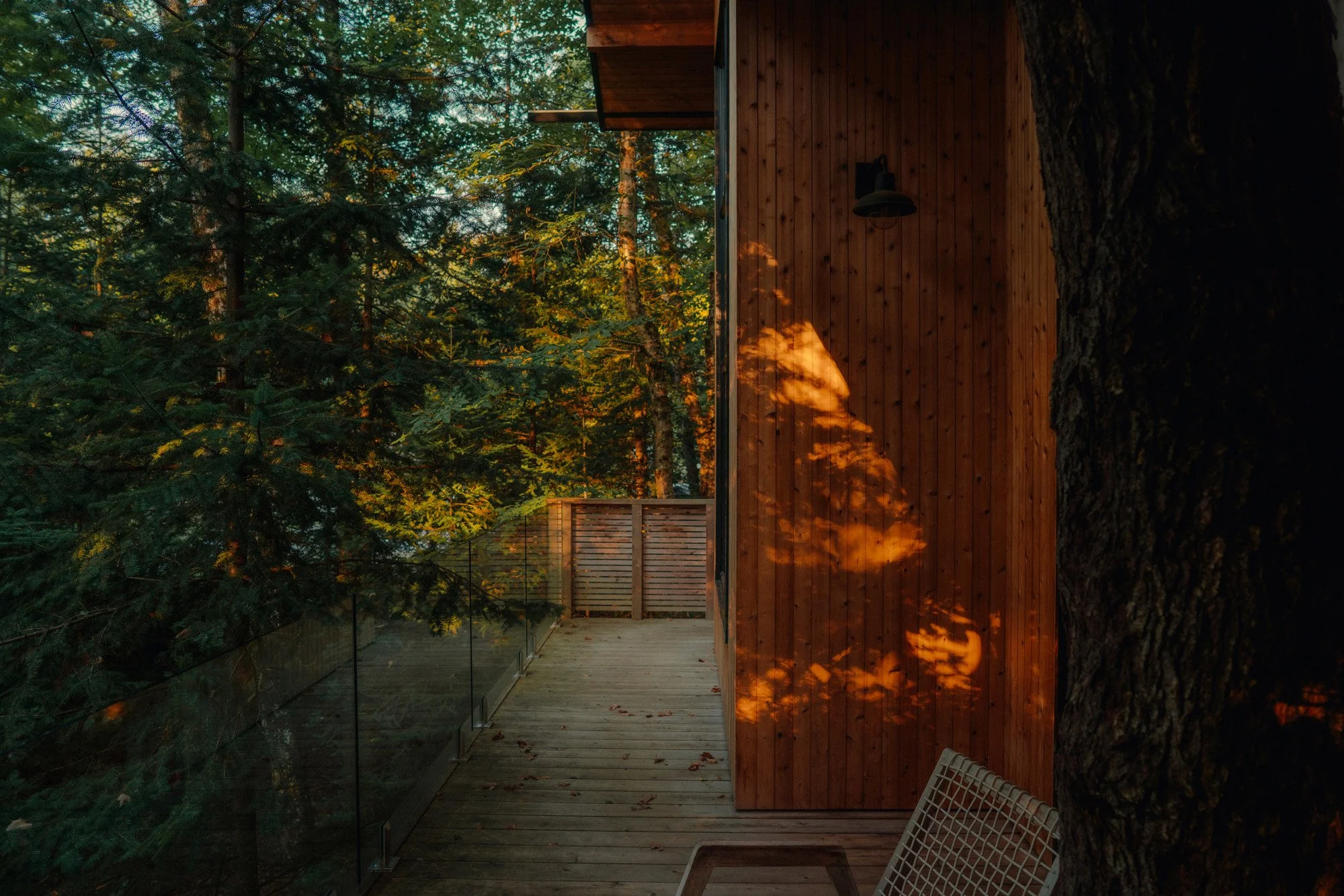A wooden deck surrounded by trees with sunlight casting shadows on the wooden wall of a house, a chair and a tree trunk visible.
