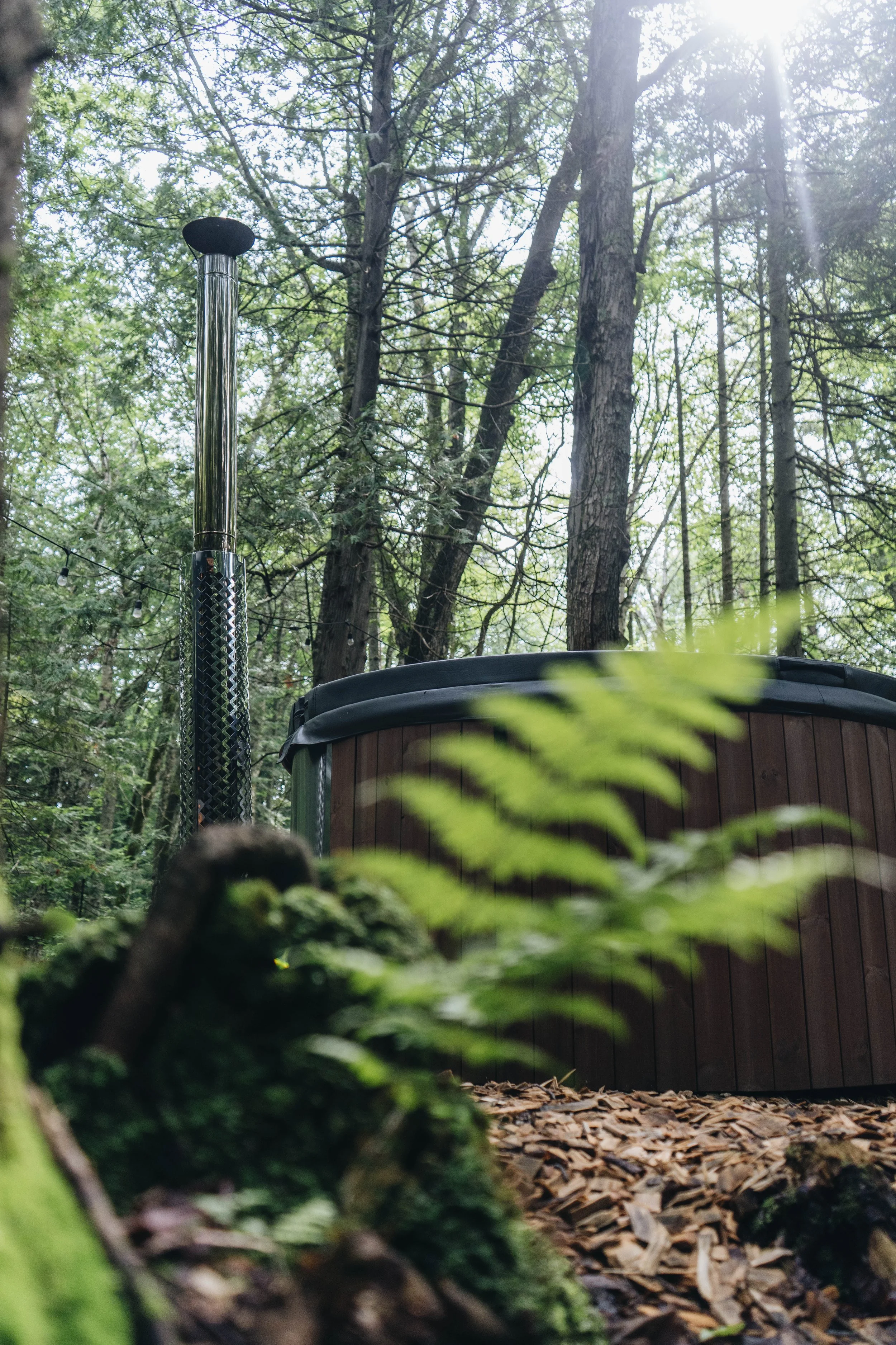A hot tub with a wood exterior in a forest setting, surrounded by tall trees, with sunlight filtering through the leaves.