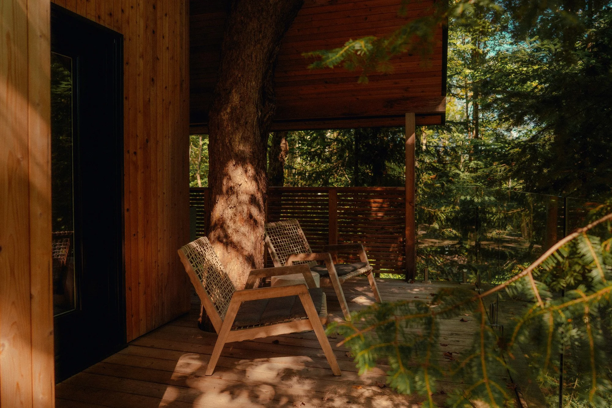 Wooden deck with three chairs next to a large tree, overlooking a forested area with trees and greenery.