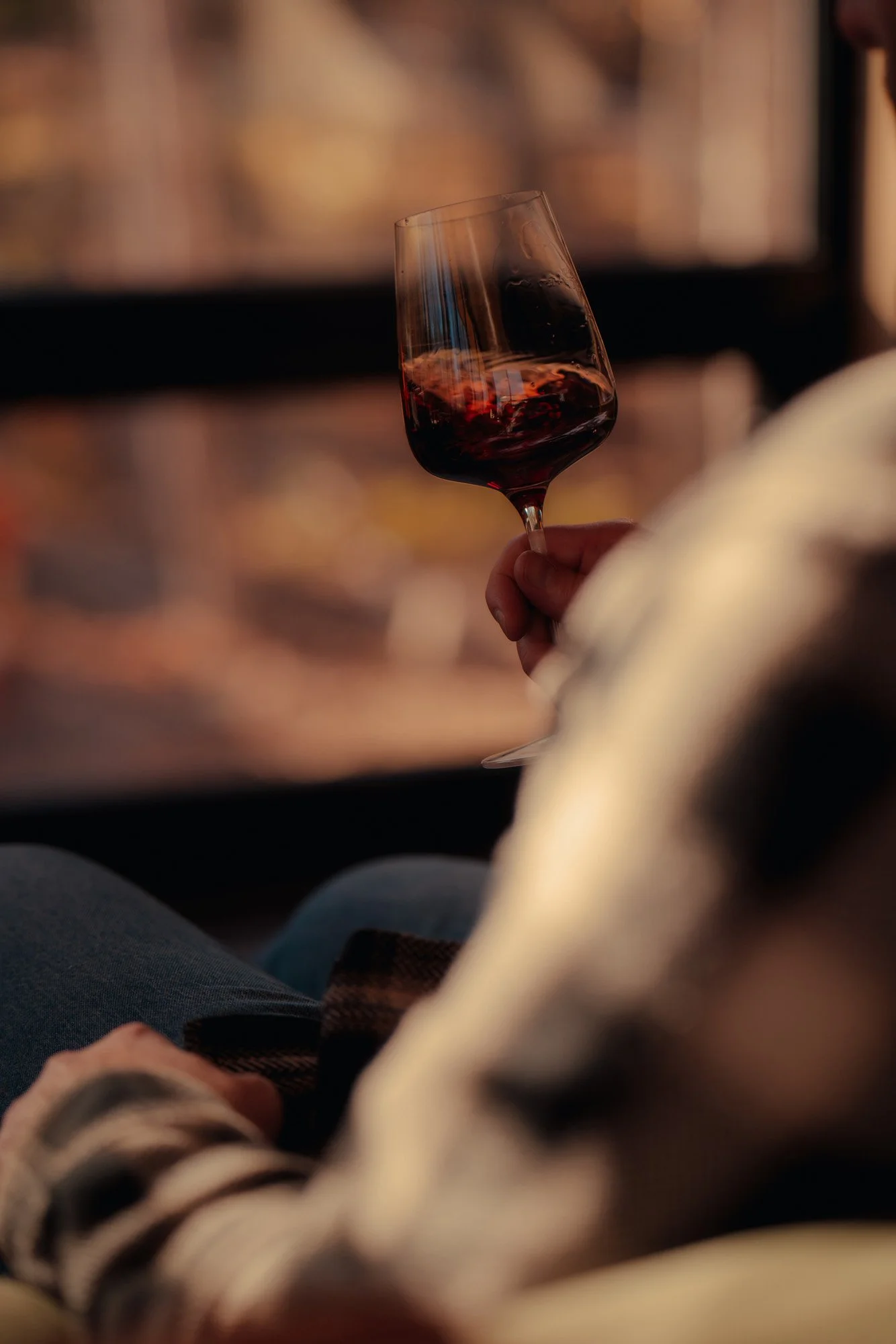 Person holding a glass of red wine inside a cozy setting.