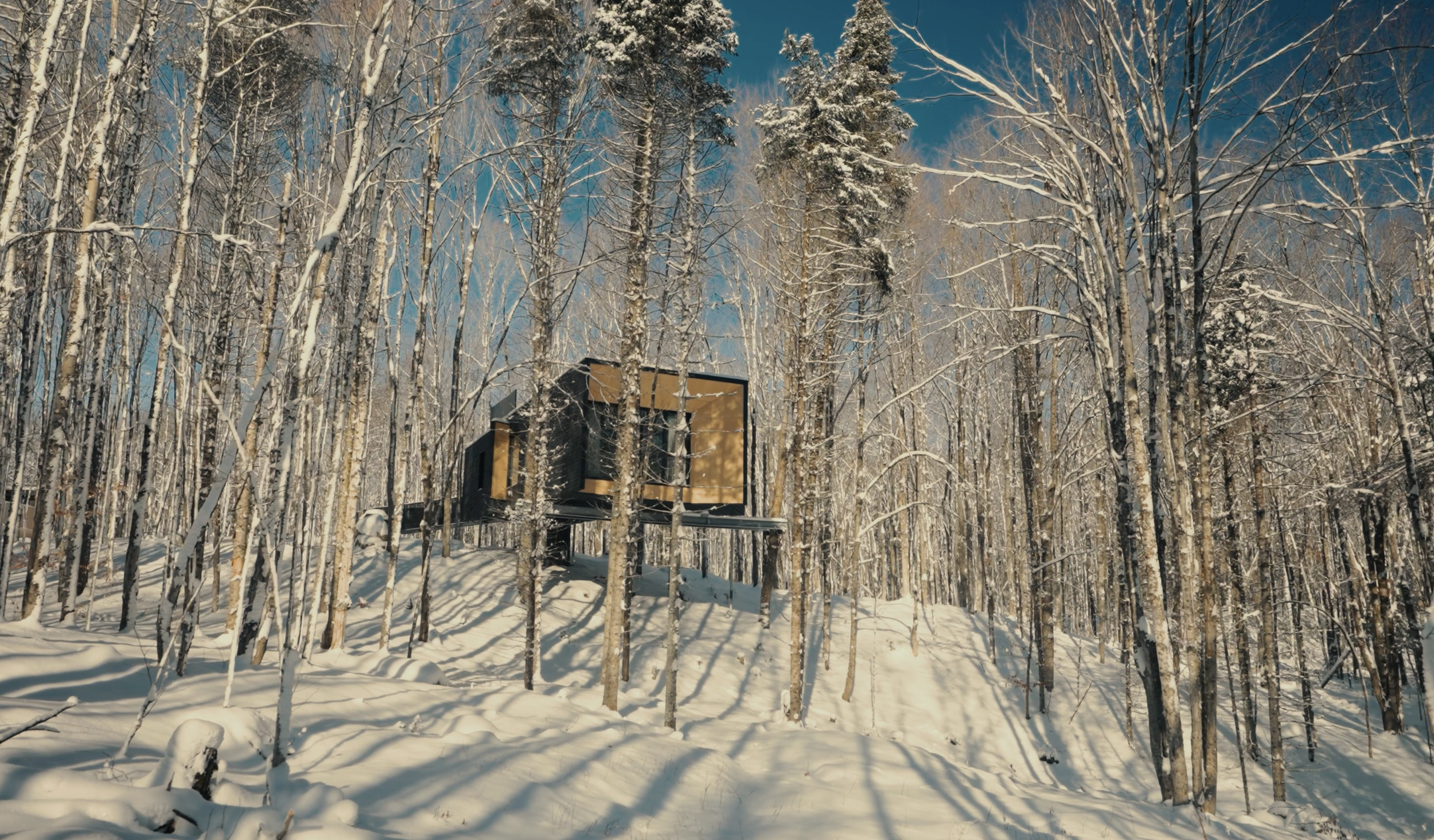 Screenshot 2026-02-21 at 8.10.13 AM.png