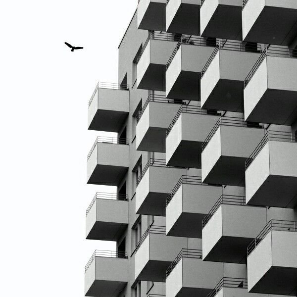 Black and white photo of a modern apartment building with multiple balconies and a bird flying in the sky.
