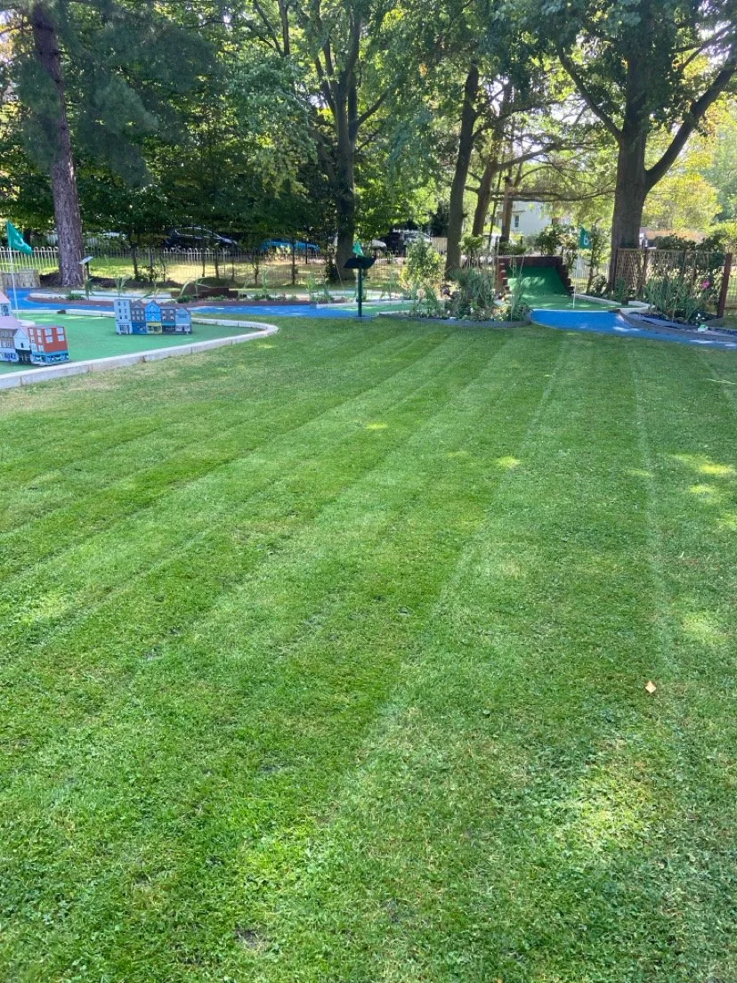 Grass Mini Golf Course