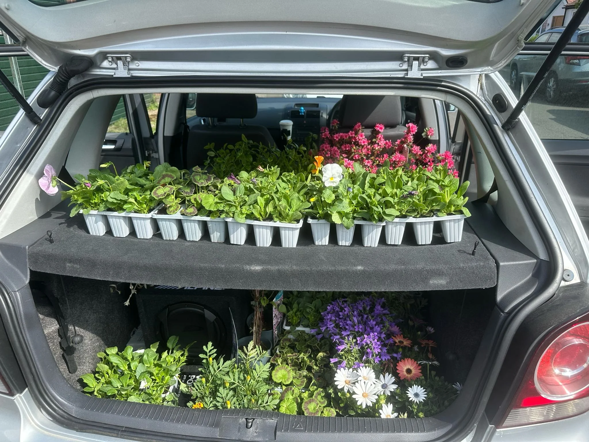 Flowers for Mini Golf Course