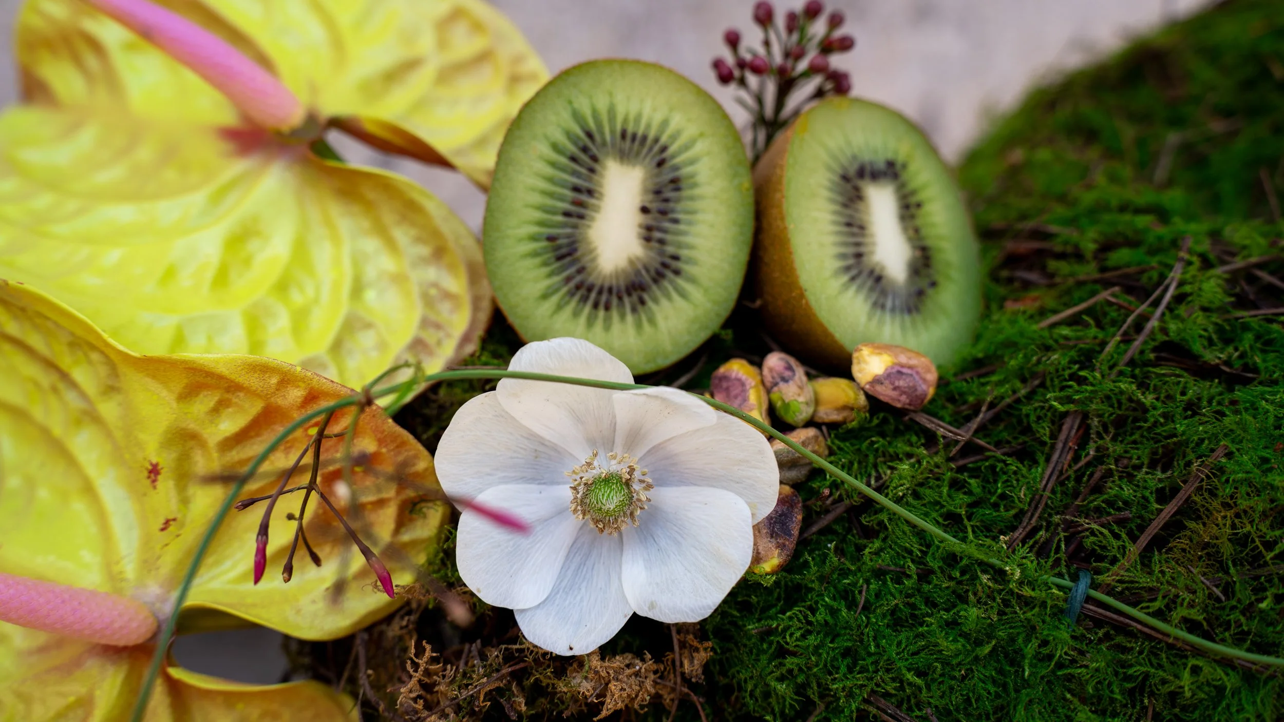 Close-up of sliced kiwi fruit, white flower, yellow and pink flowers, moss, and small pistachios on the ground.