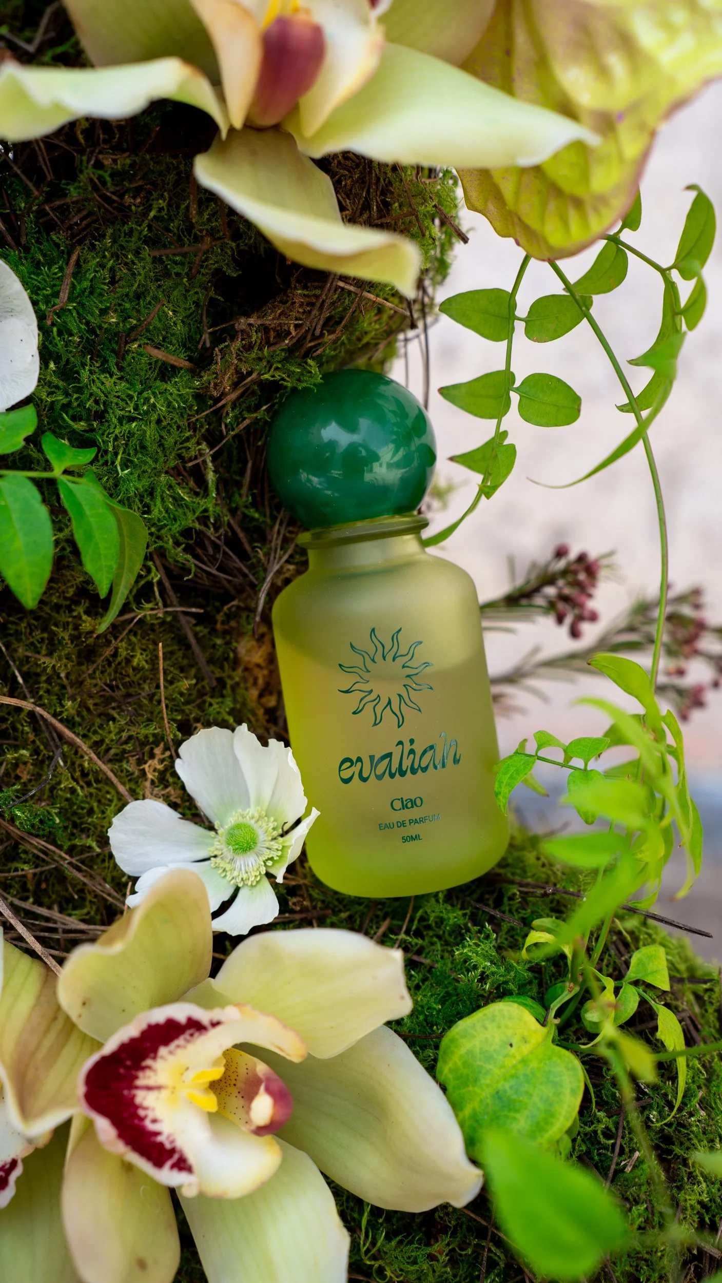 Close-up of a perfume bottle labeled 'evaluah' among moss, green leaves, white and yellow orchids, and other small plants, with some petals at the bottom of the image.