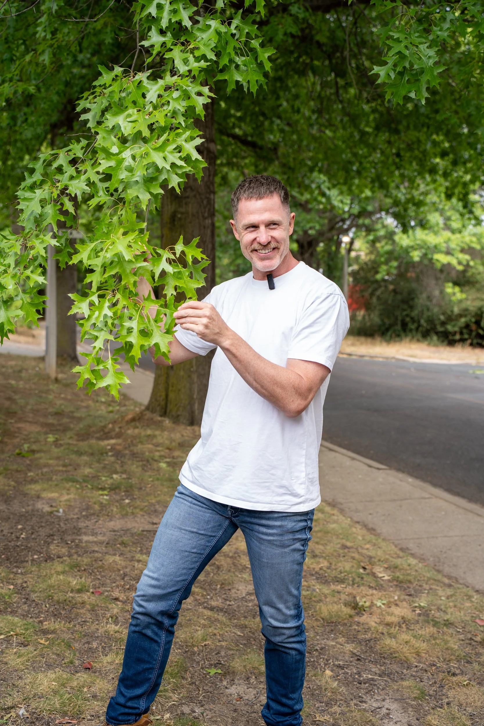A man with short brown hair, a beard, wearing a white t-shirt and blue jeans, standing outdoors on a sidewalk in a park, smiling and holding green oak tree leaves.