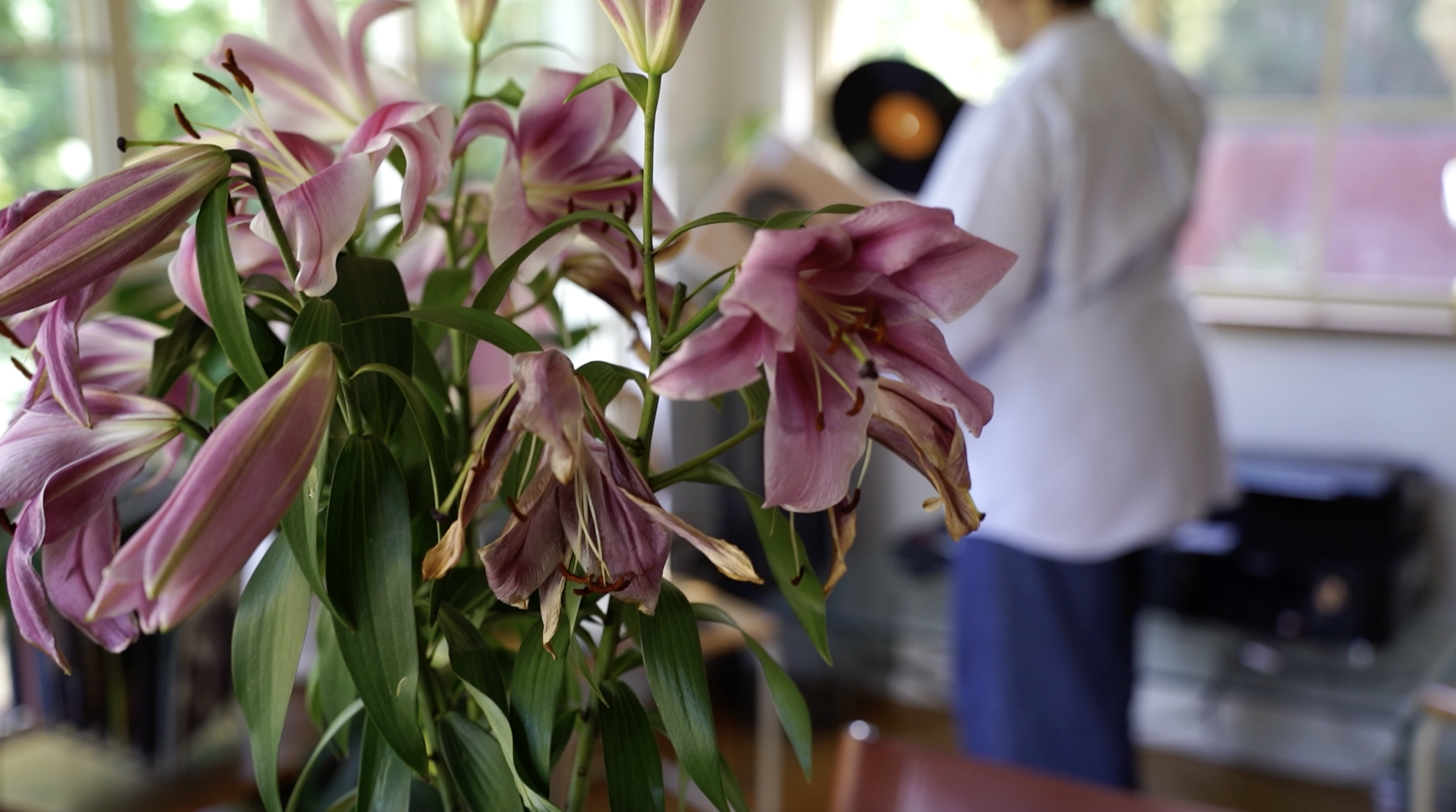 Screenshot 2025-12-18 at 7.22.09 pm.png