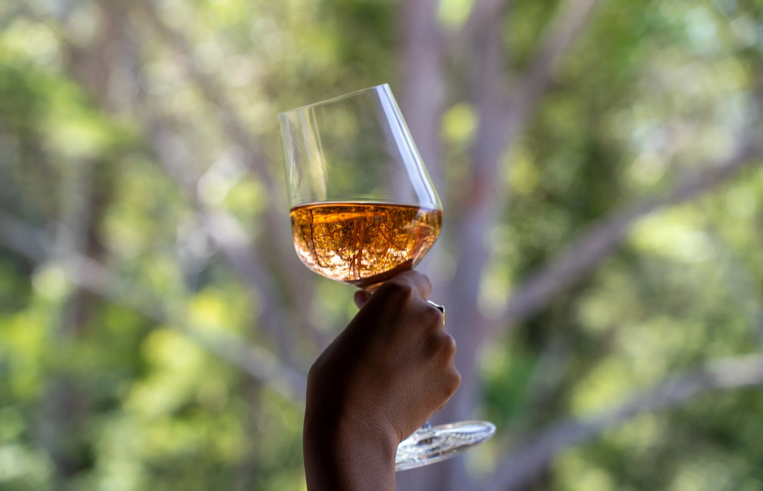 A hand holding a wine glass filled with rose-colored wine, with a blurred green and brown background of trees.