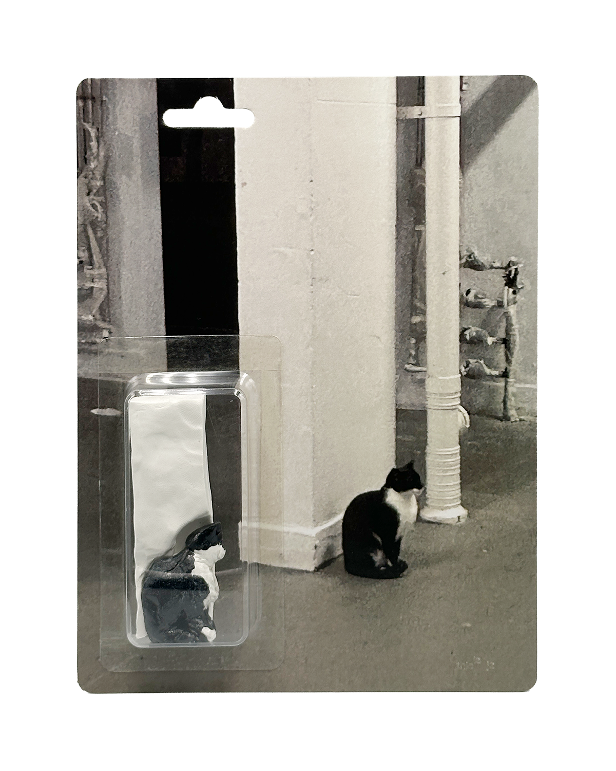 JZ_CATS_3A(lo).png