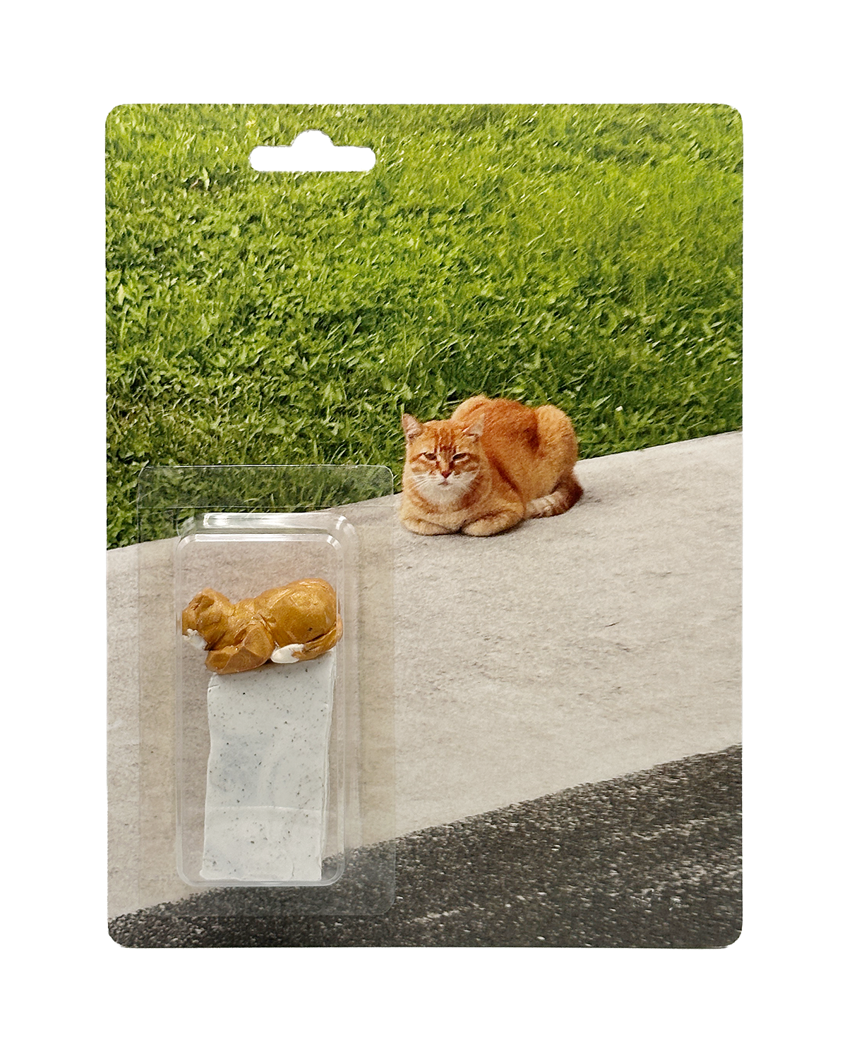 JZ_CATS_1A(lo).png