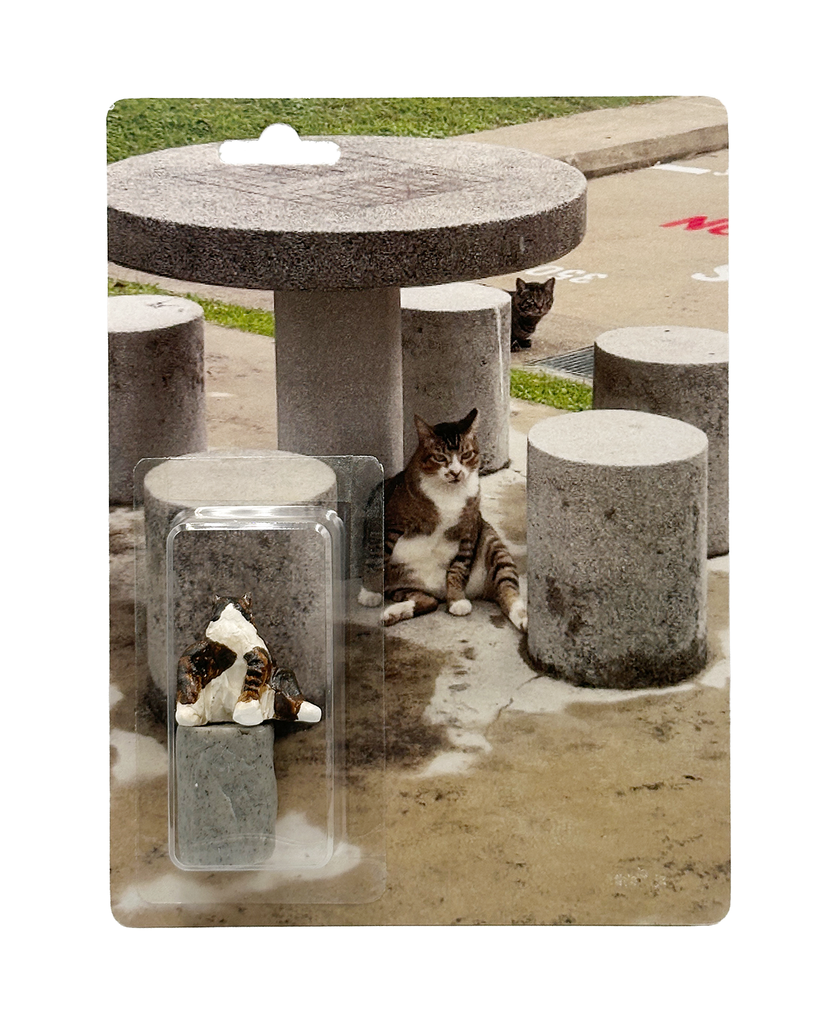 JZ_CATS_2A(lo).png