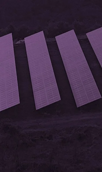 Four purple solar panels installed on a dark roof.