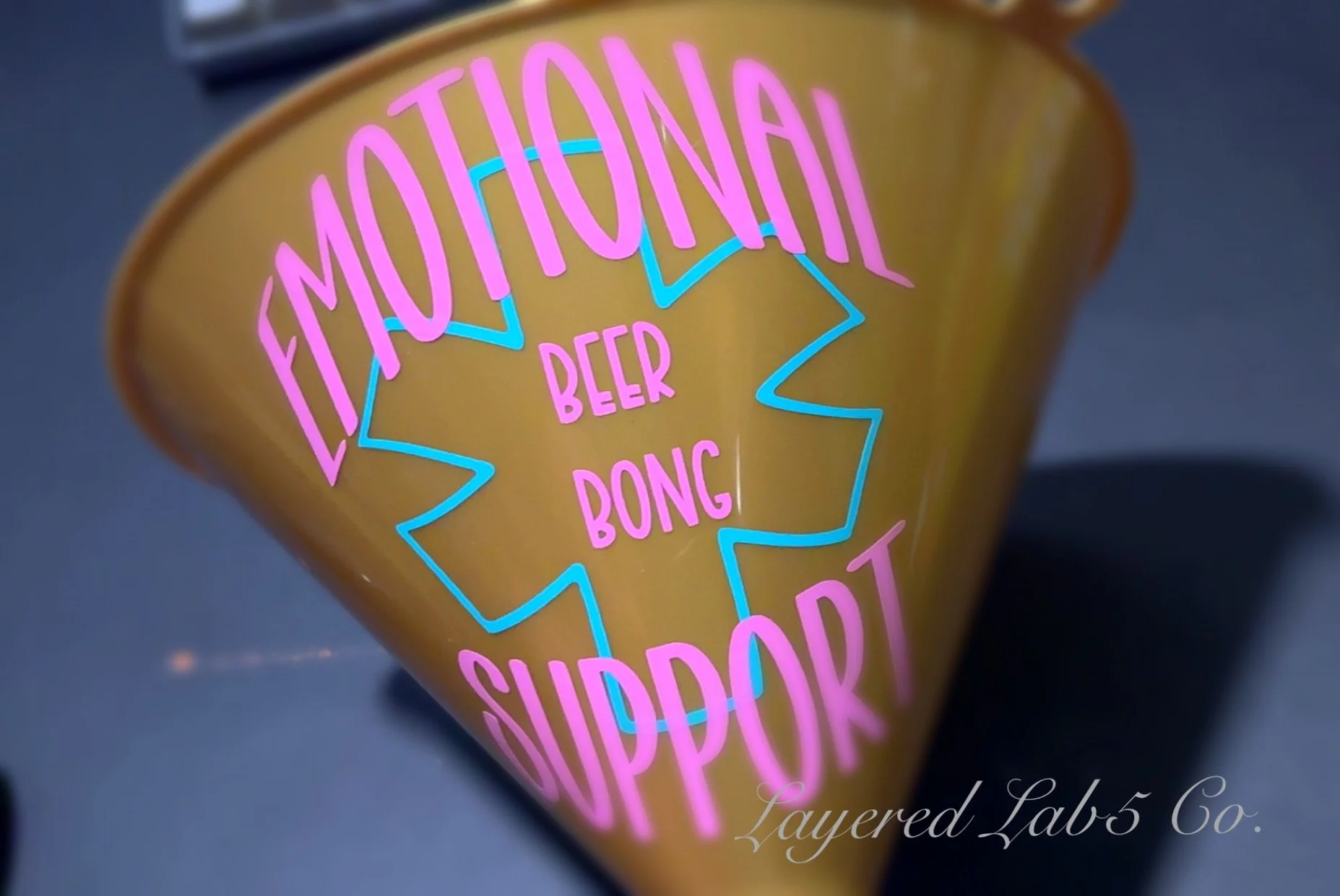 IMG_6917 1 - Copy.JPG