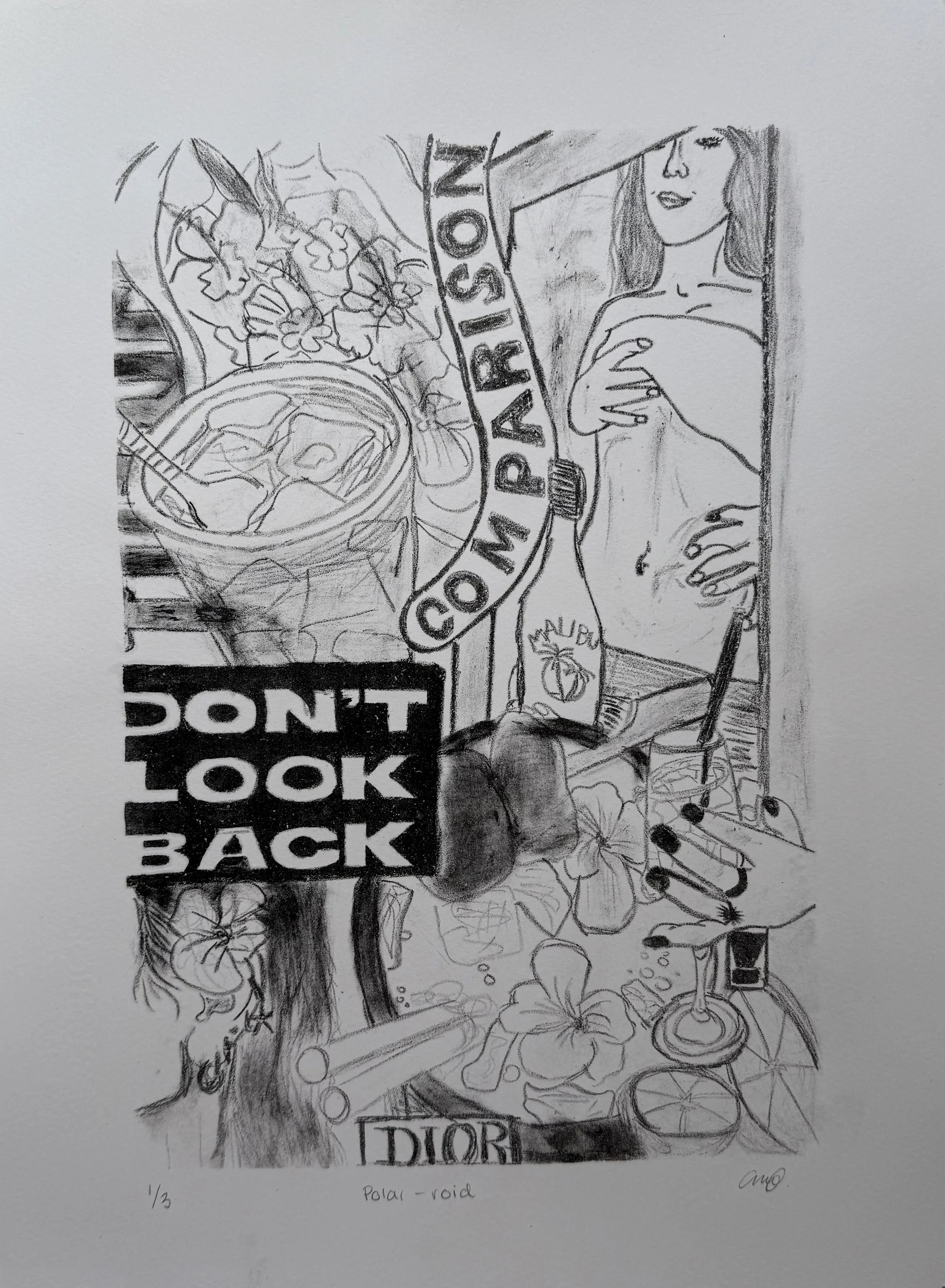 Polar-roid (Edition of 3)