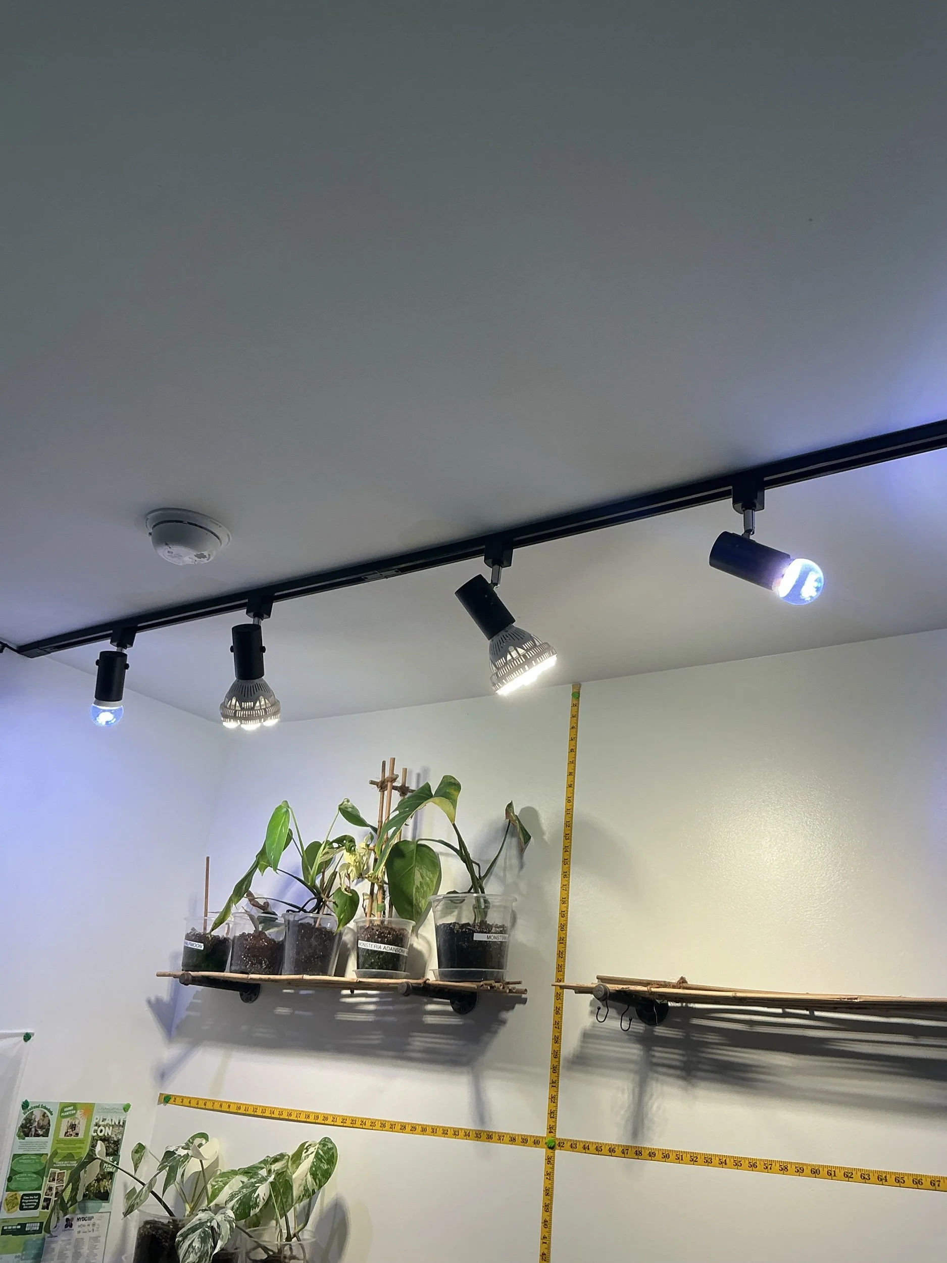 track style grow light + smart build - 7ft