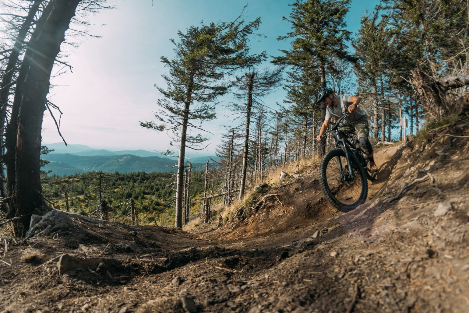 Screenshot 2025-12-21 at 16.30.48.png