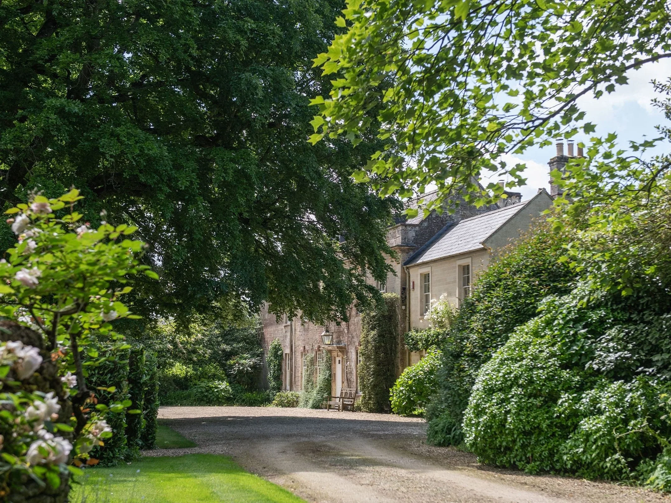 A peaceful driveway leading to an elegant house surrounded by lush trees and bushes in a garden.