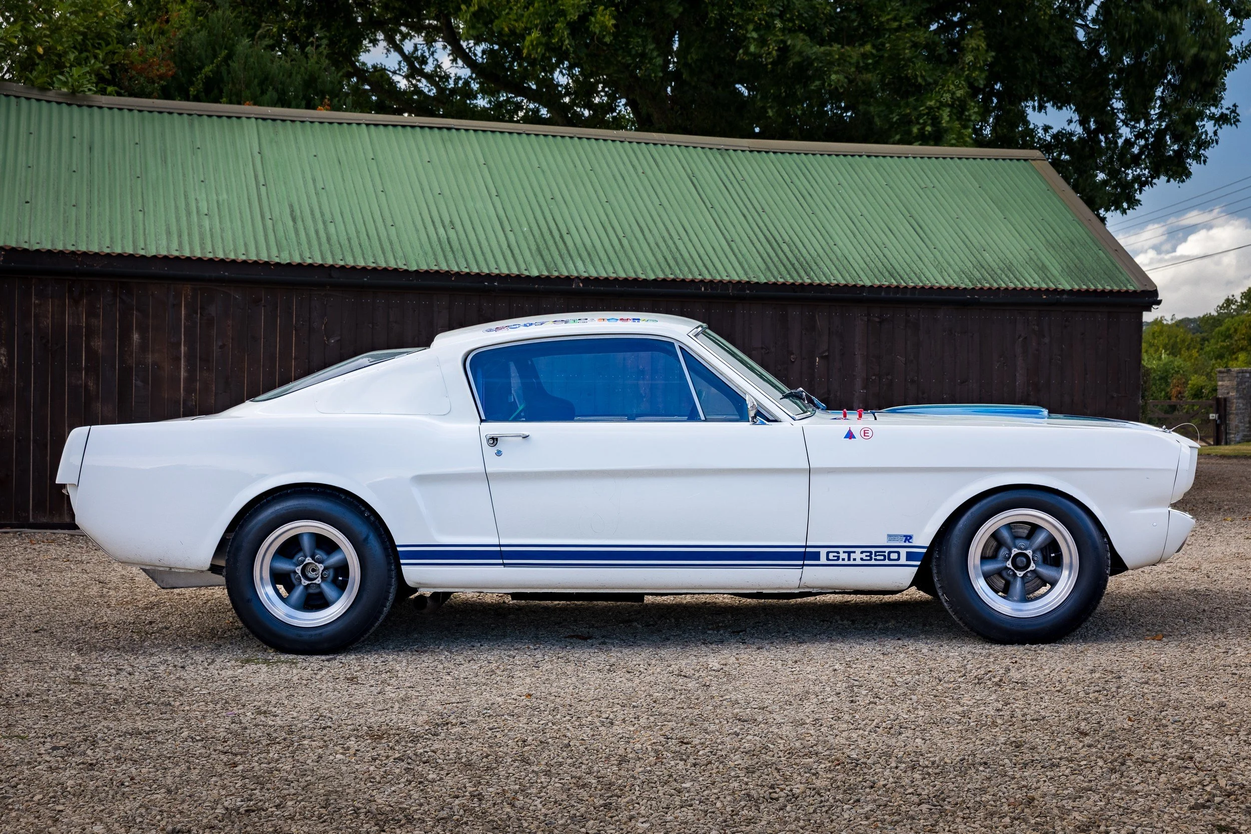 A vintage white Ford GT350 sports car parked outdoors on a gravel surface with a wooden shed and green trees in the background.